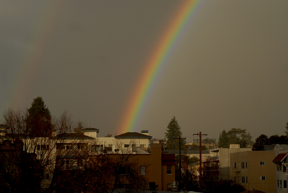 Oakland Rainbow. California 2013 © Kalman N. Muller