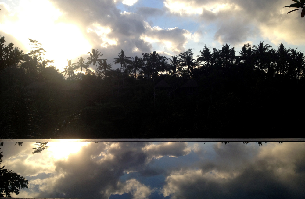 Pool Reflection. Ubud, Bali Indonesia 2013 © Kalman N. Muller