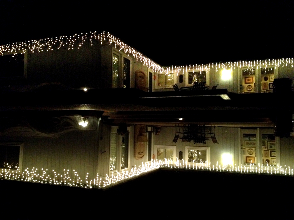 House Reflection. Novato California 2013 © Kalman N. Muller