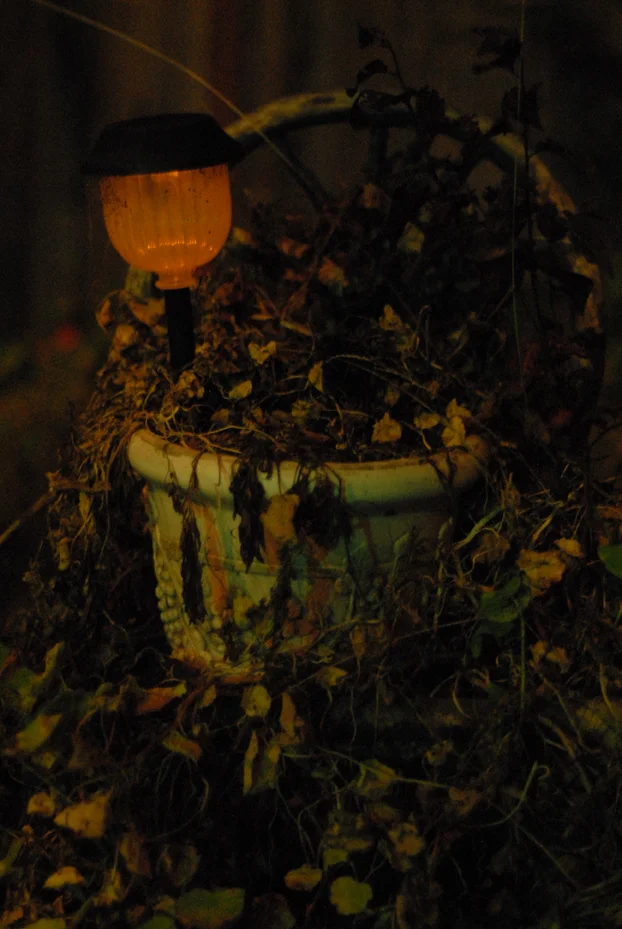 Sad Lantern. San Francisco California 2011 © Kalman N. Muller