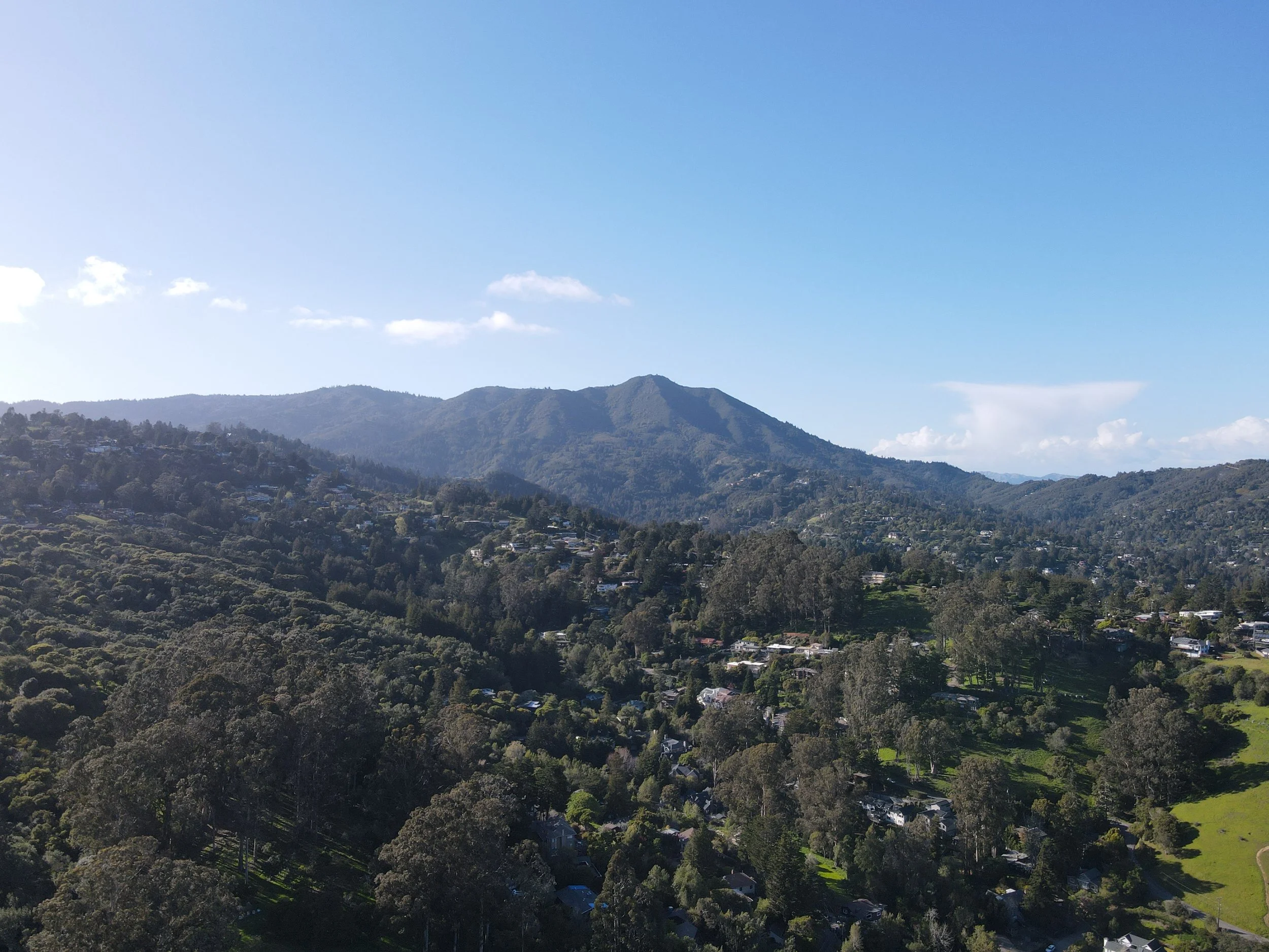 Over Mill Valley CA, Mt. Tam in the back