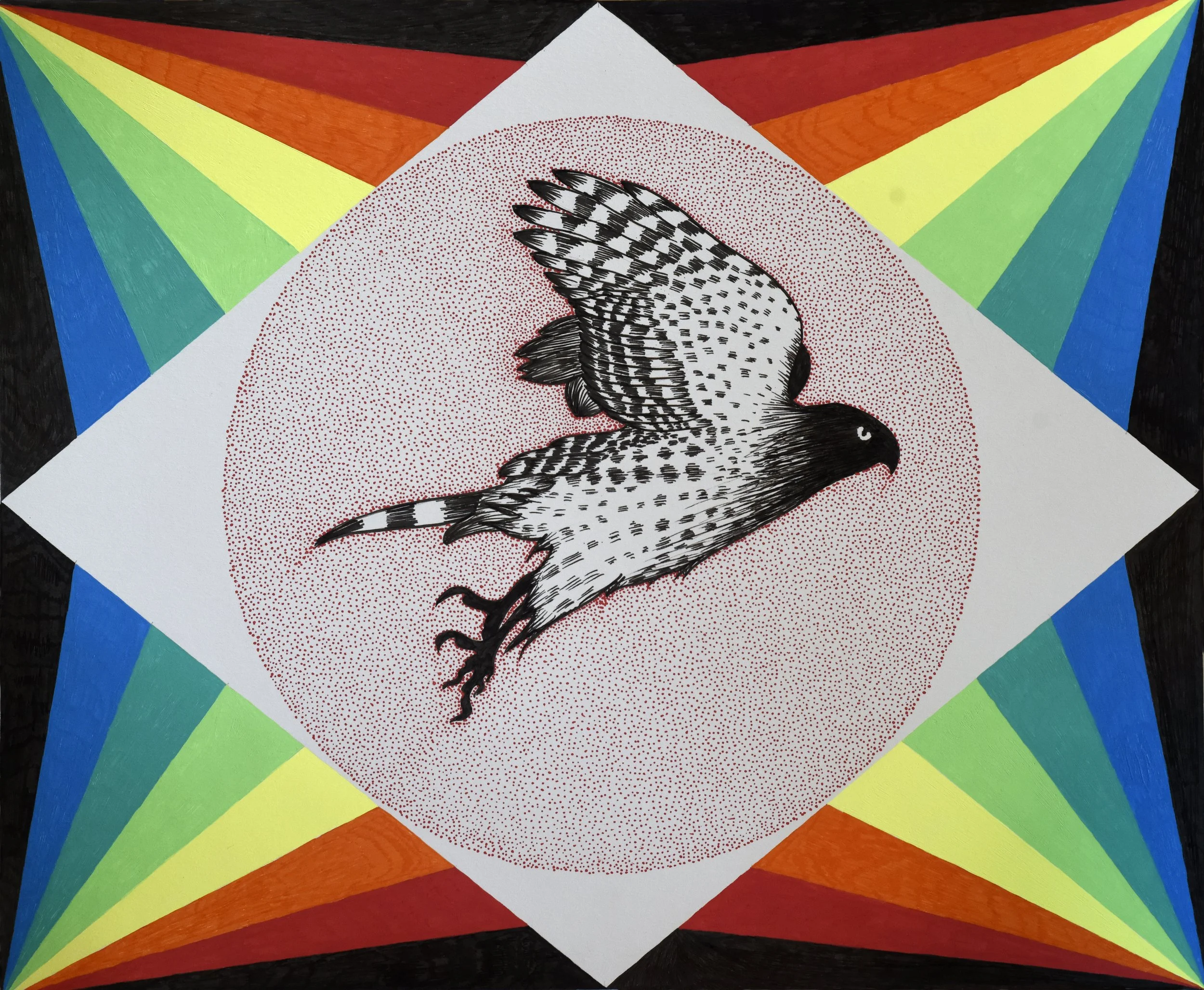 2019 Hawk circle prism.jpg