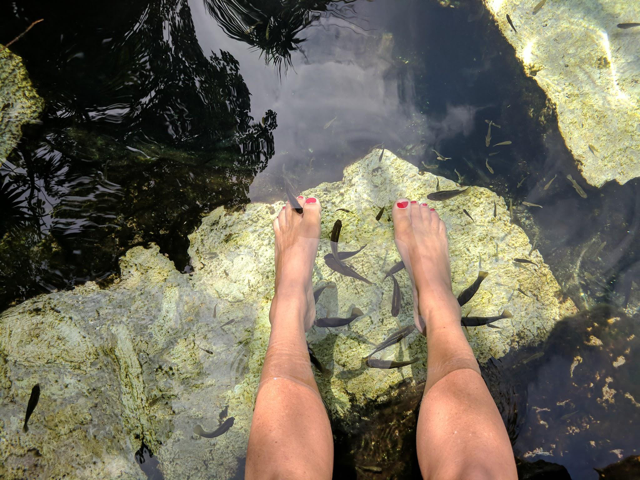 Open-air cenotes offer a natural foot-spa as small fish nibble off dead skin from sand-worn feet.