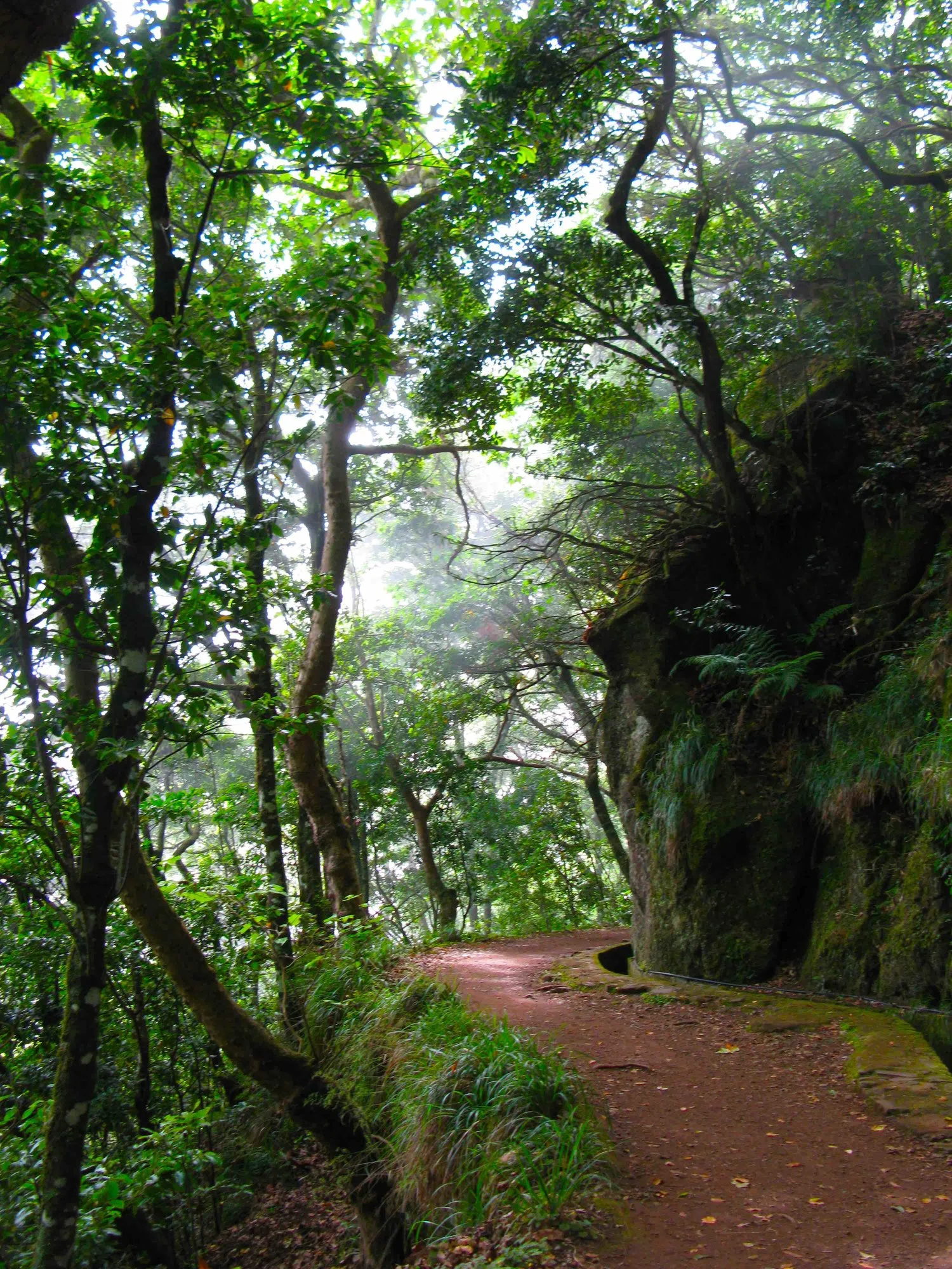 levada+Balcões+walk+path+IMG_8463+.jpg