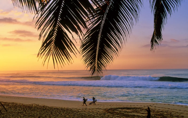 FIRST WE SURF, THEN WE EAT: BOOK REVIEW + RECIPES