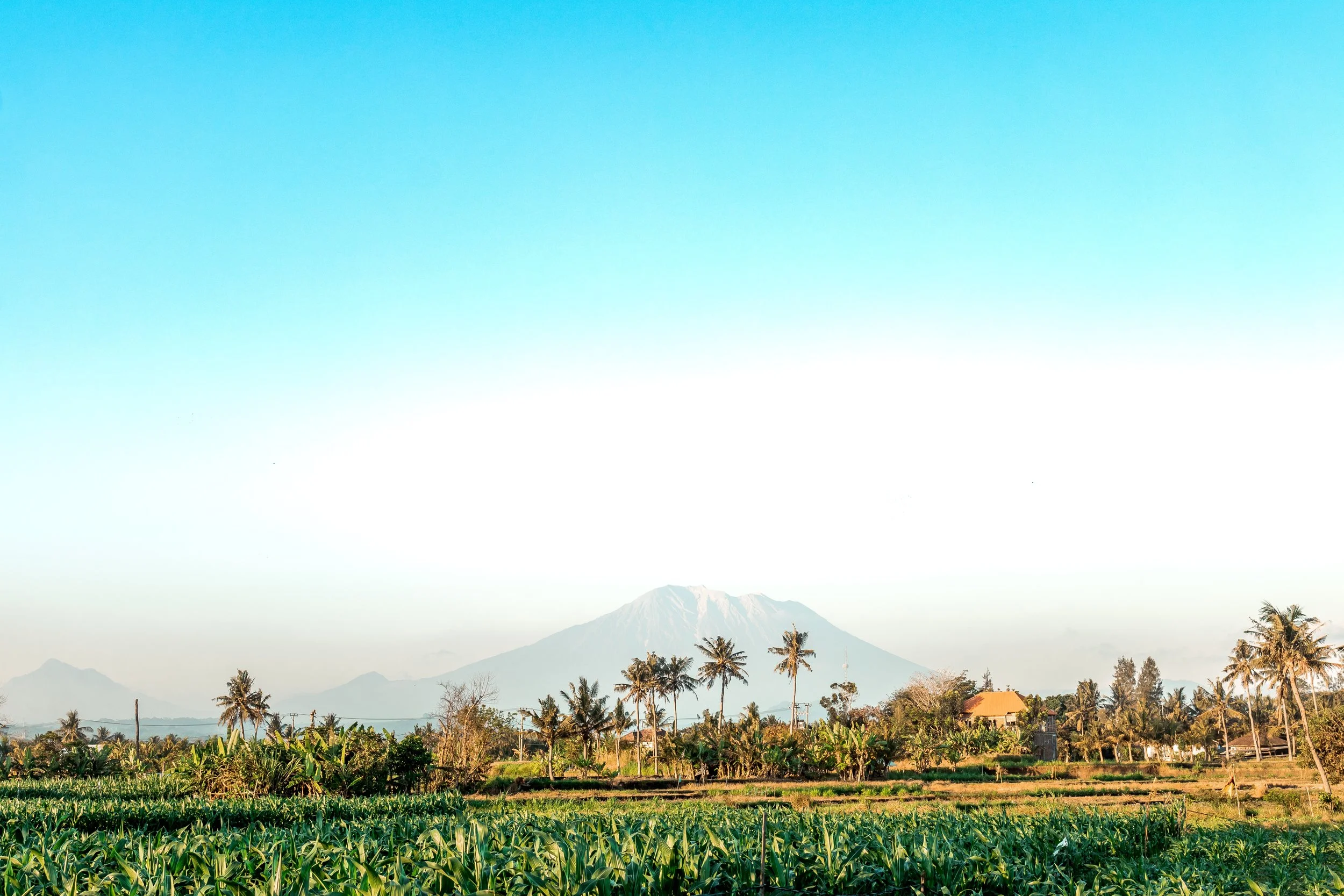 artem-bali-1116402-unsplash.jpg