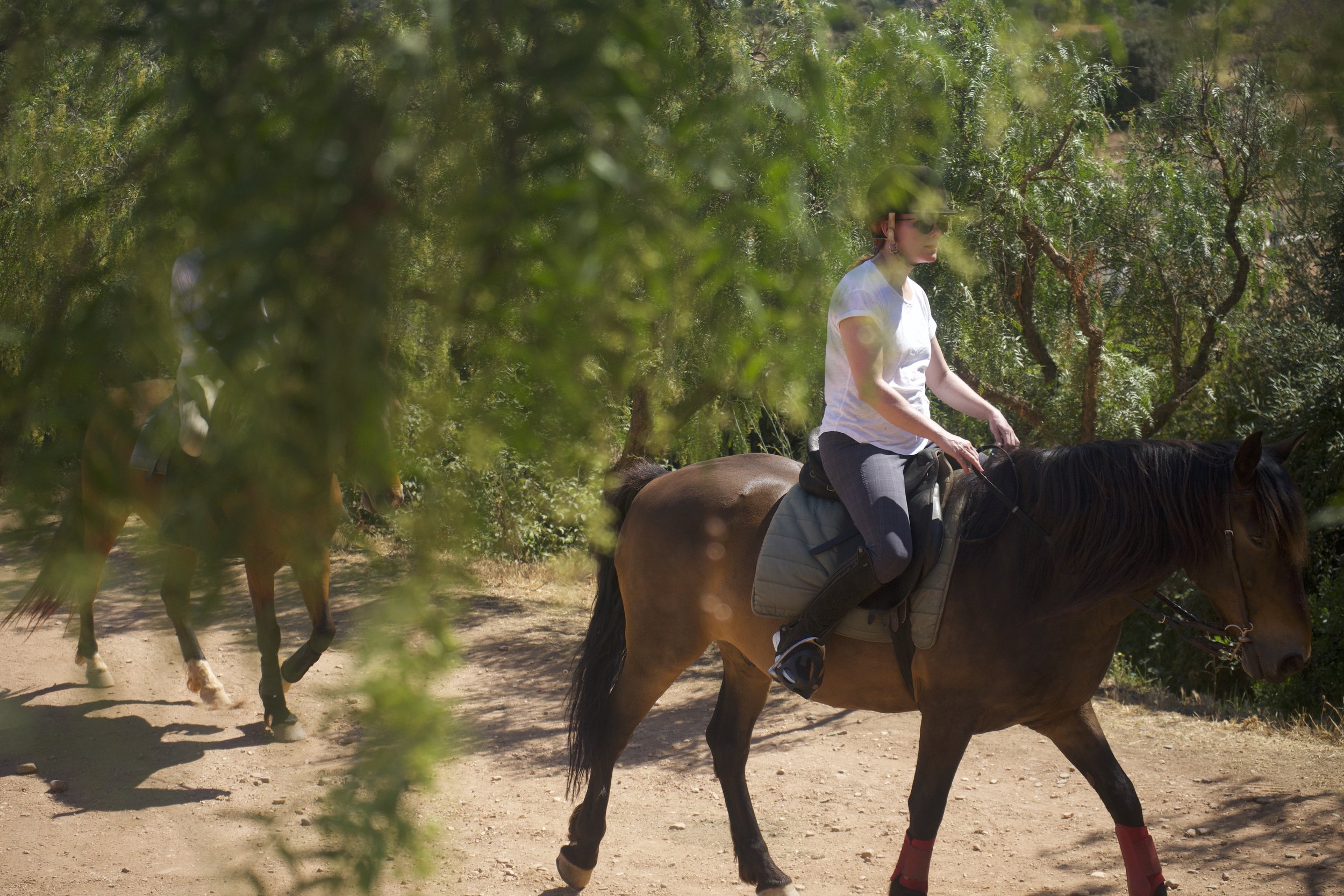 _DSC7780.jpeg