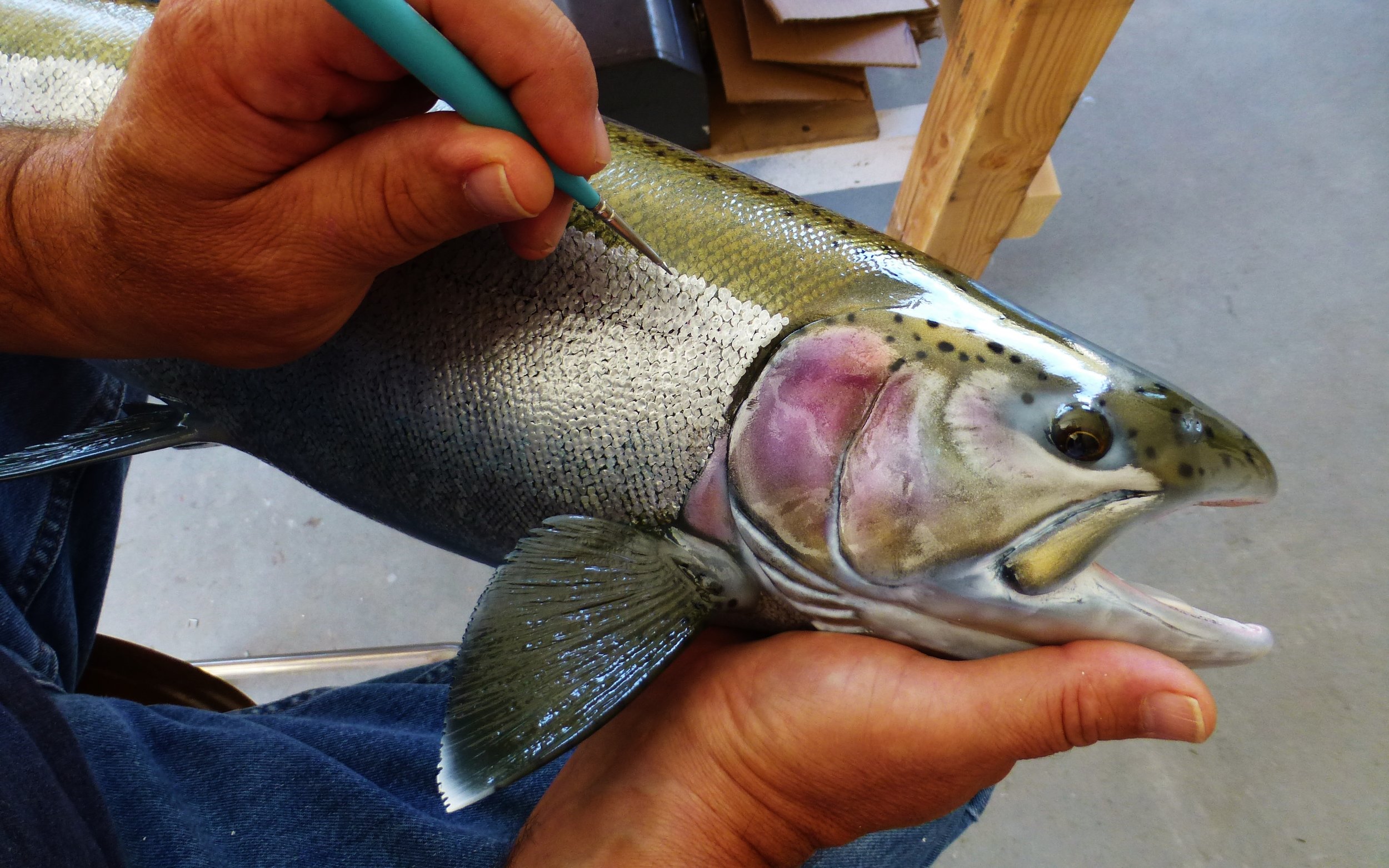 Luke Filmer of Blackwater Fish Replicas hand painting scales on Rainbow Trout.JPG