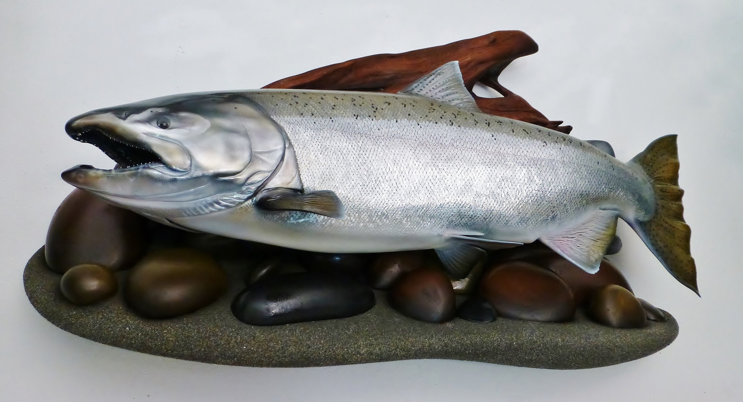 Realistic Salmon Fish Replicas Fish Mounts by fish artist Luke