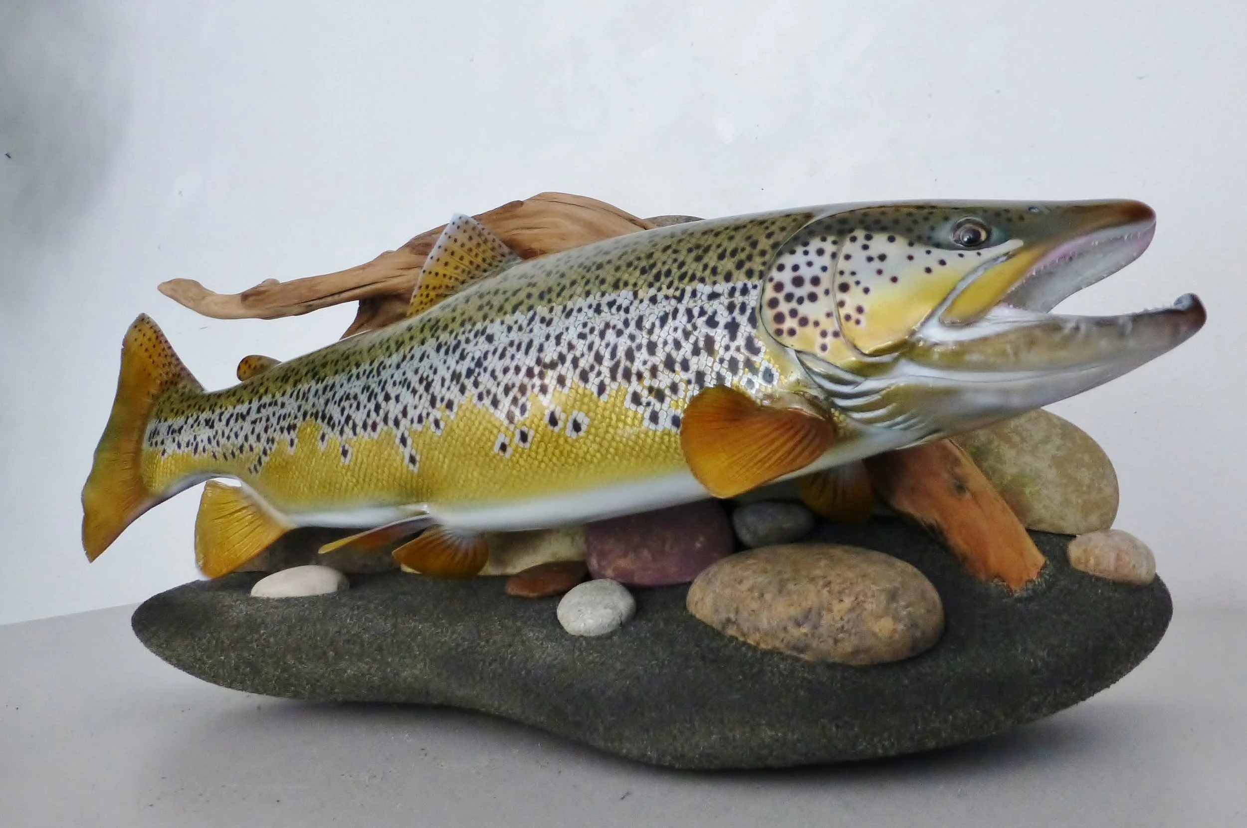 Realistic rainbow, brown, cutthroat, trout fish replicas fish mounts by