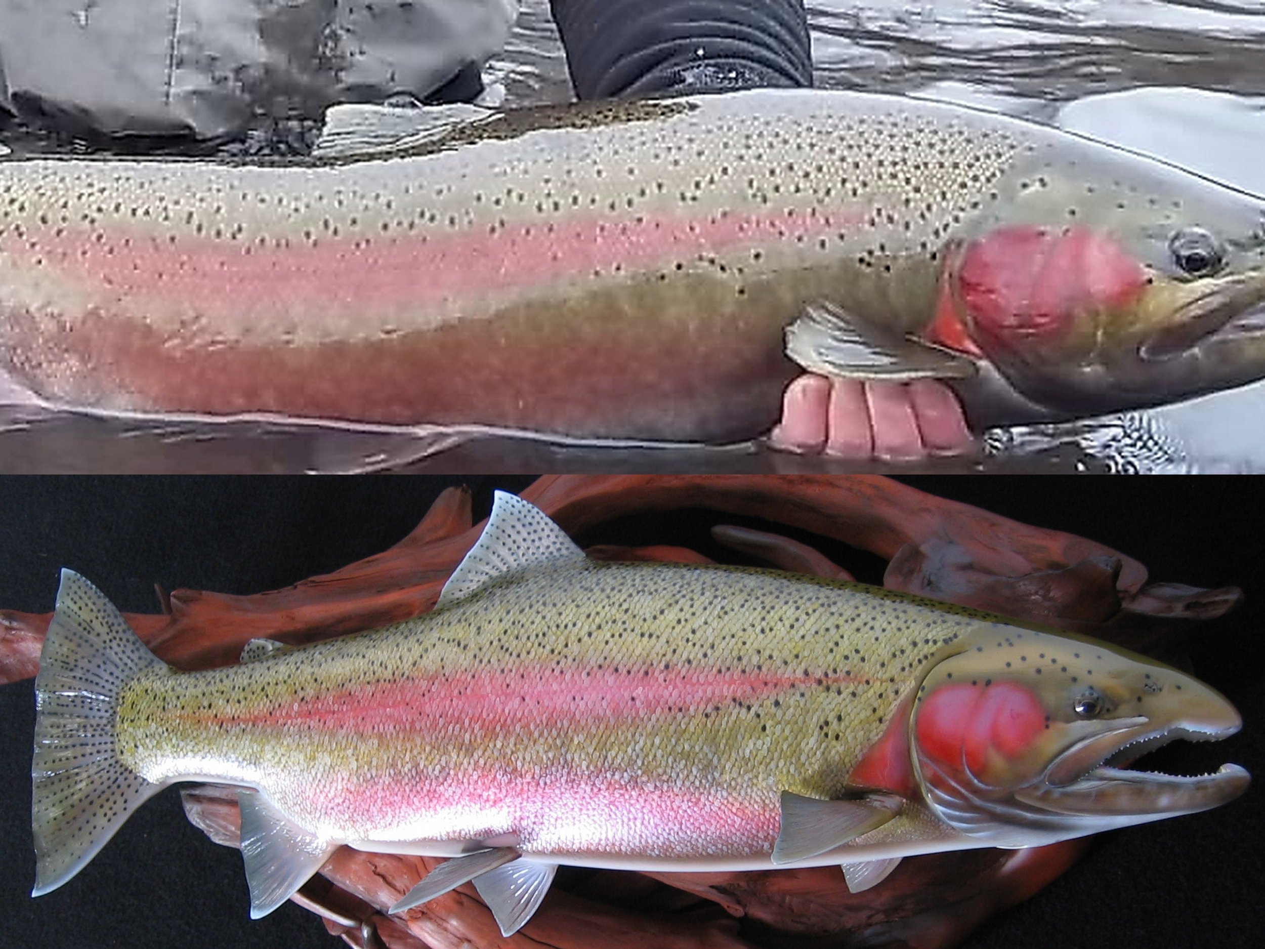 Steelhead Replica_slot #11_We Match Your Photo Page.jpg