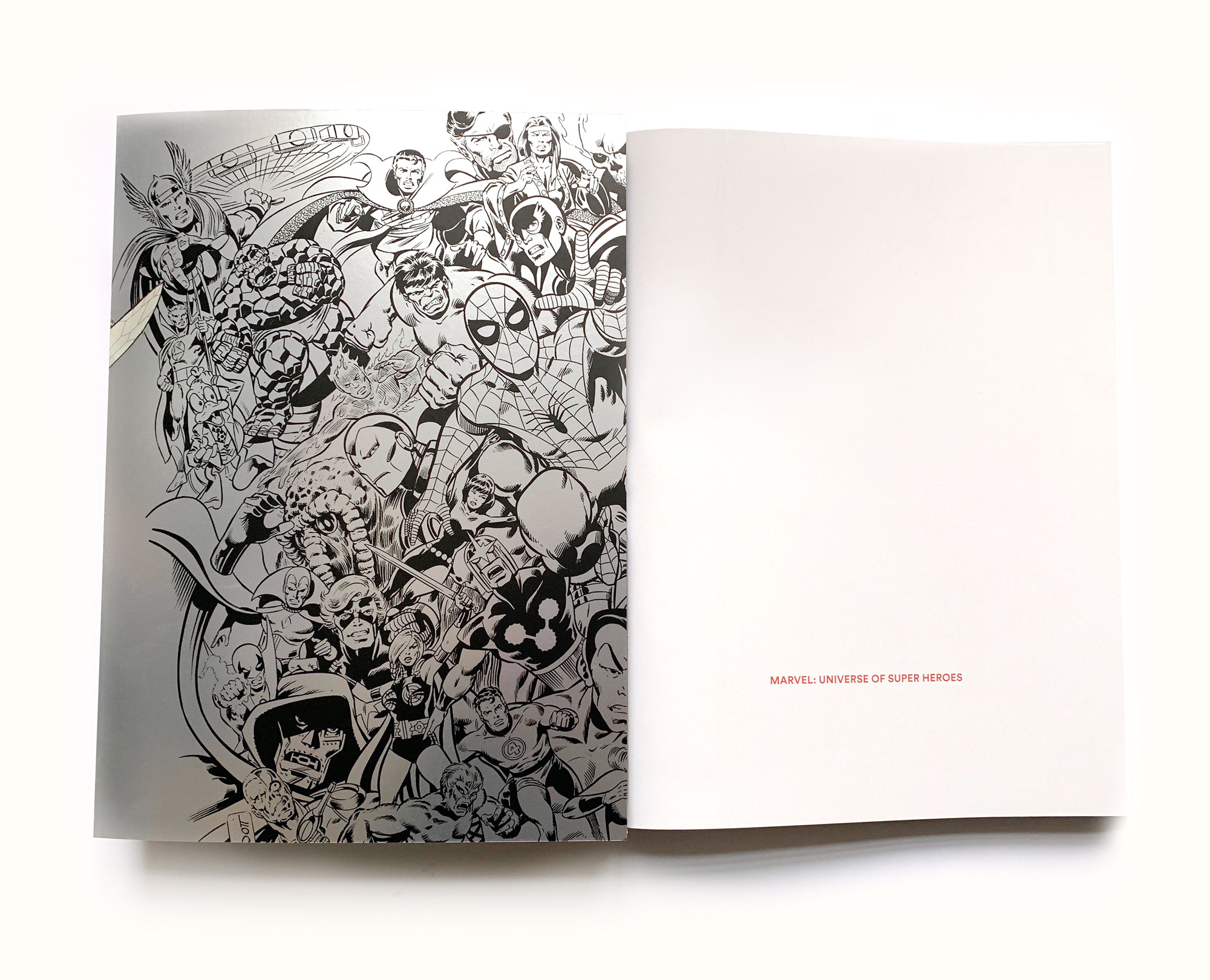 Marvel-Universe-of-Super-Heroes-Book-Silver-Balgavy.jpg