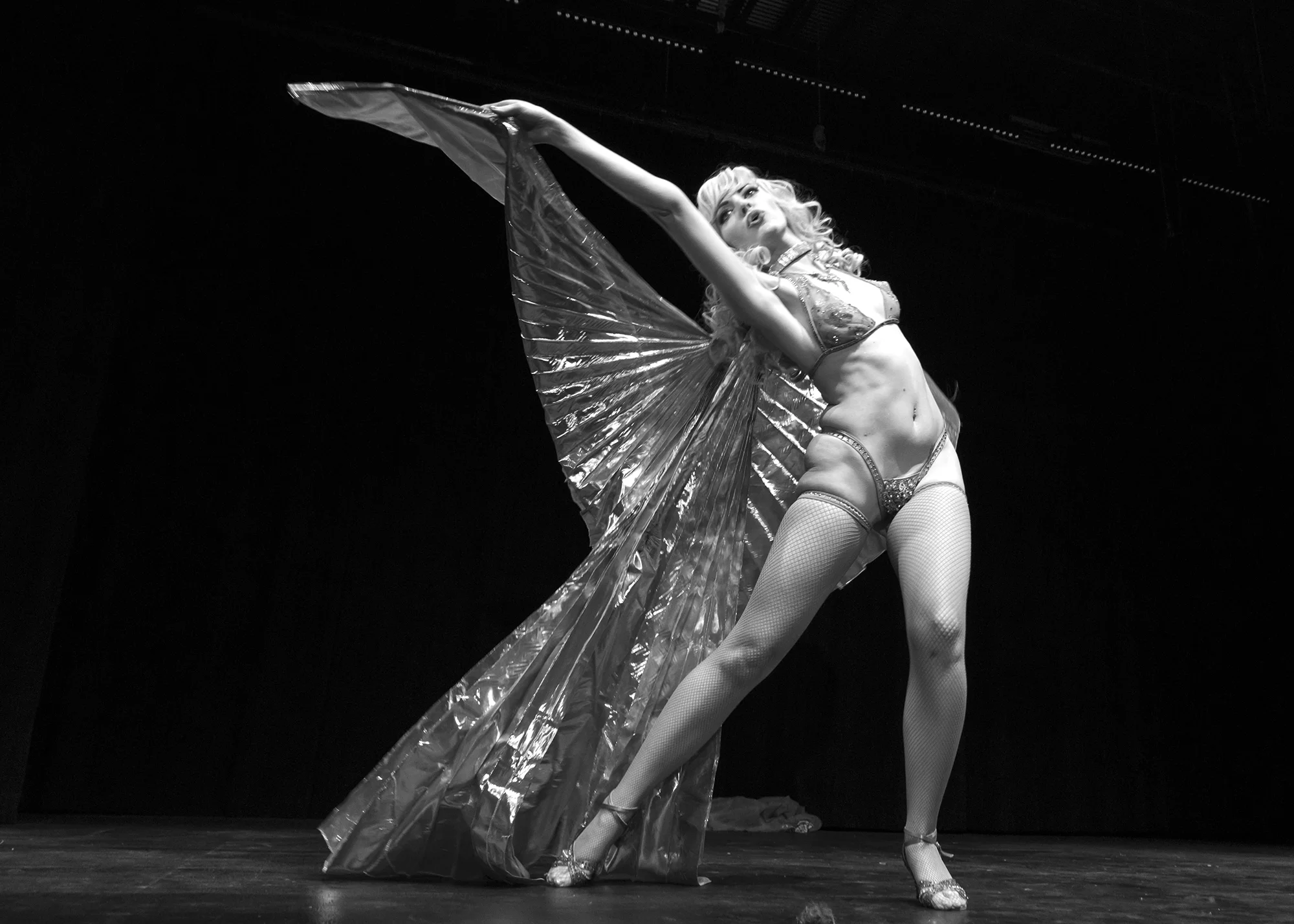 Goldie2_1078bw.jpg