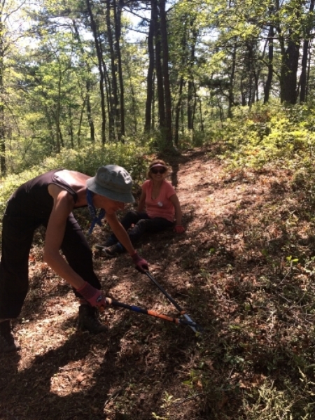 Sierra Club volunteers blaze a trail in the hot August heat!