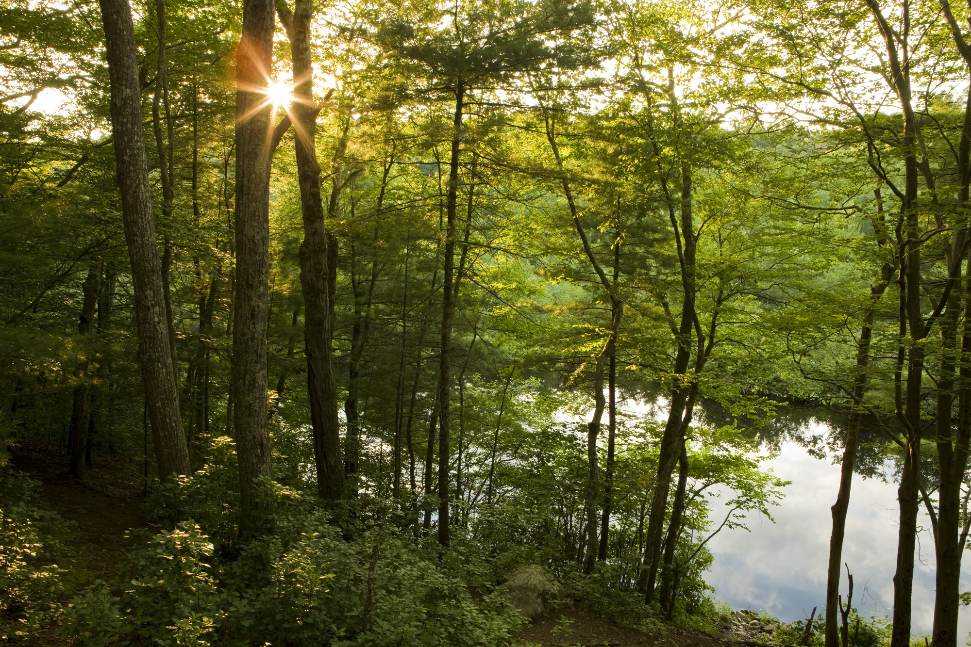 Indian Head River as seen through the forest at the Tucker Preserve in Pembroke, Massachusetts. Sunset.