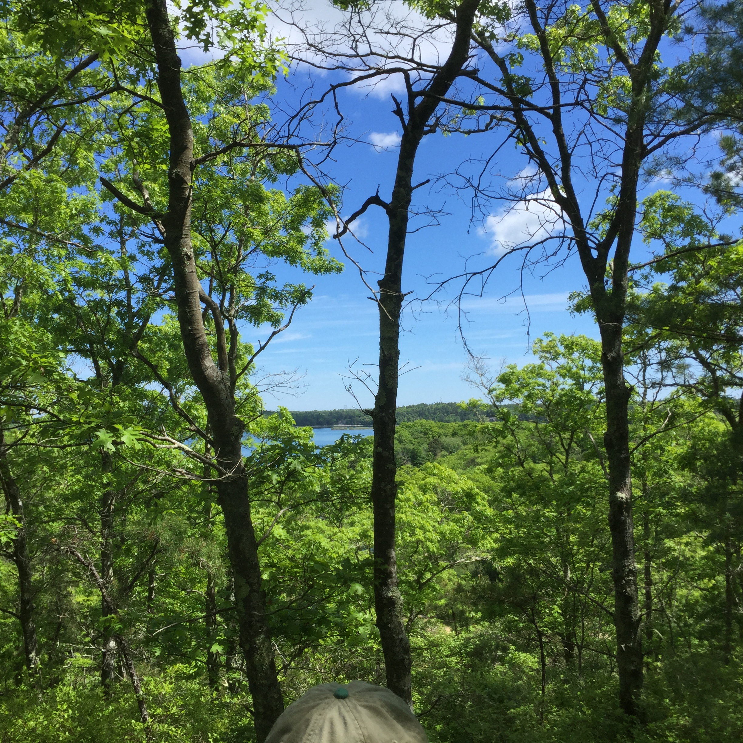 Outlook toward Great South Pond (Part I)