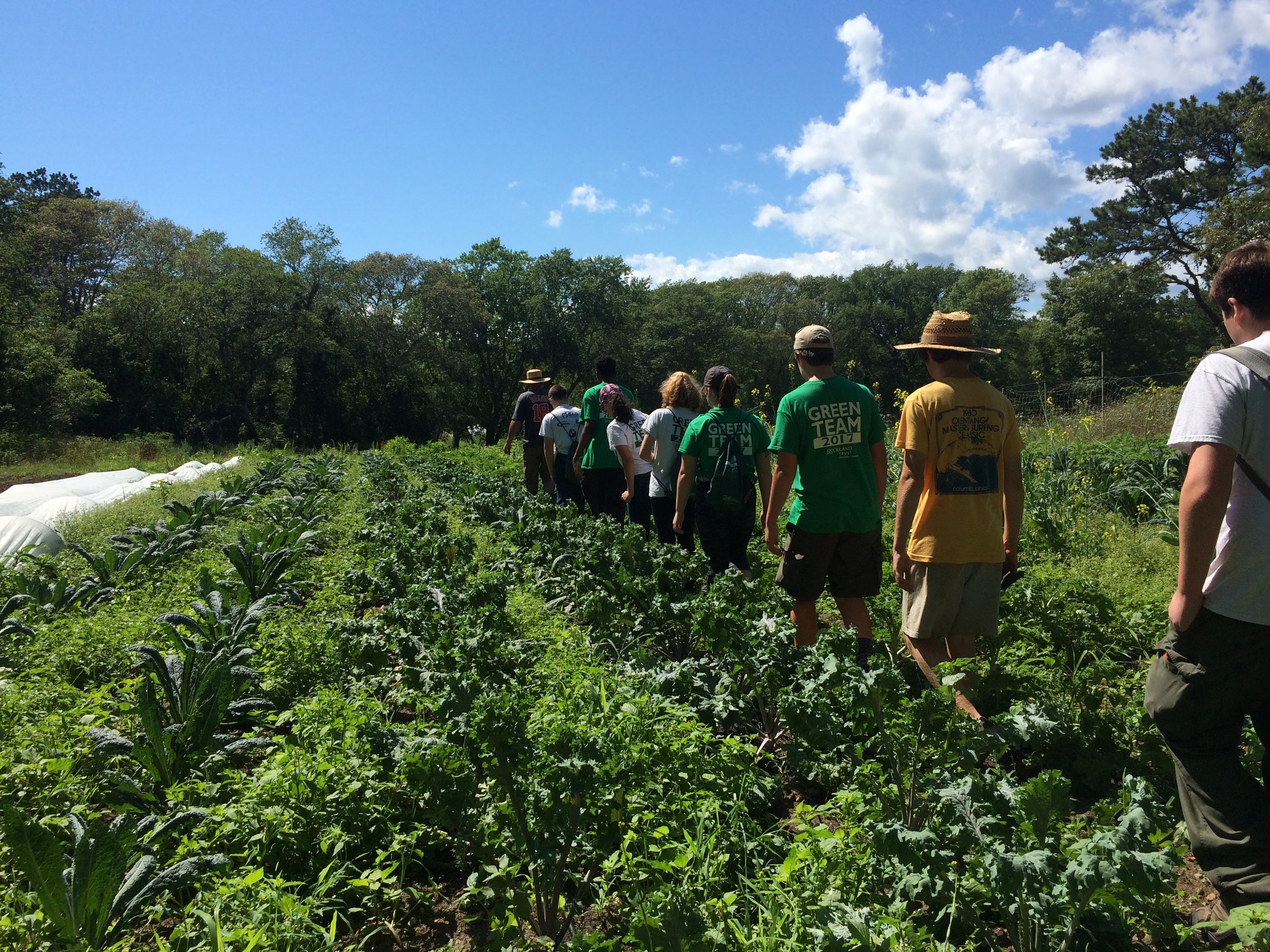 Day Six: Campout cleanup and organic farming at Bay End Farm/Old Field Preserve, Bourne