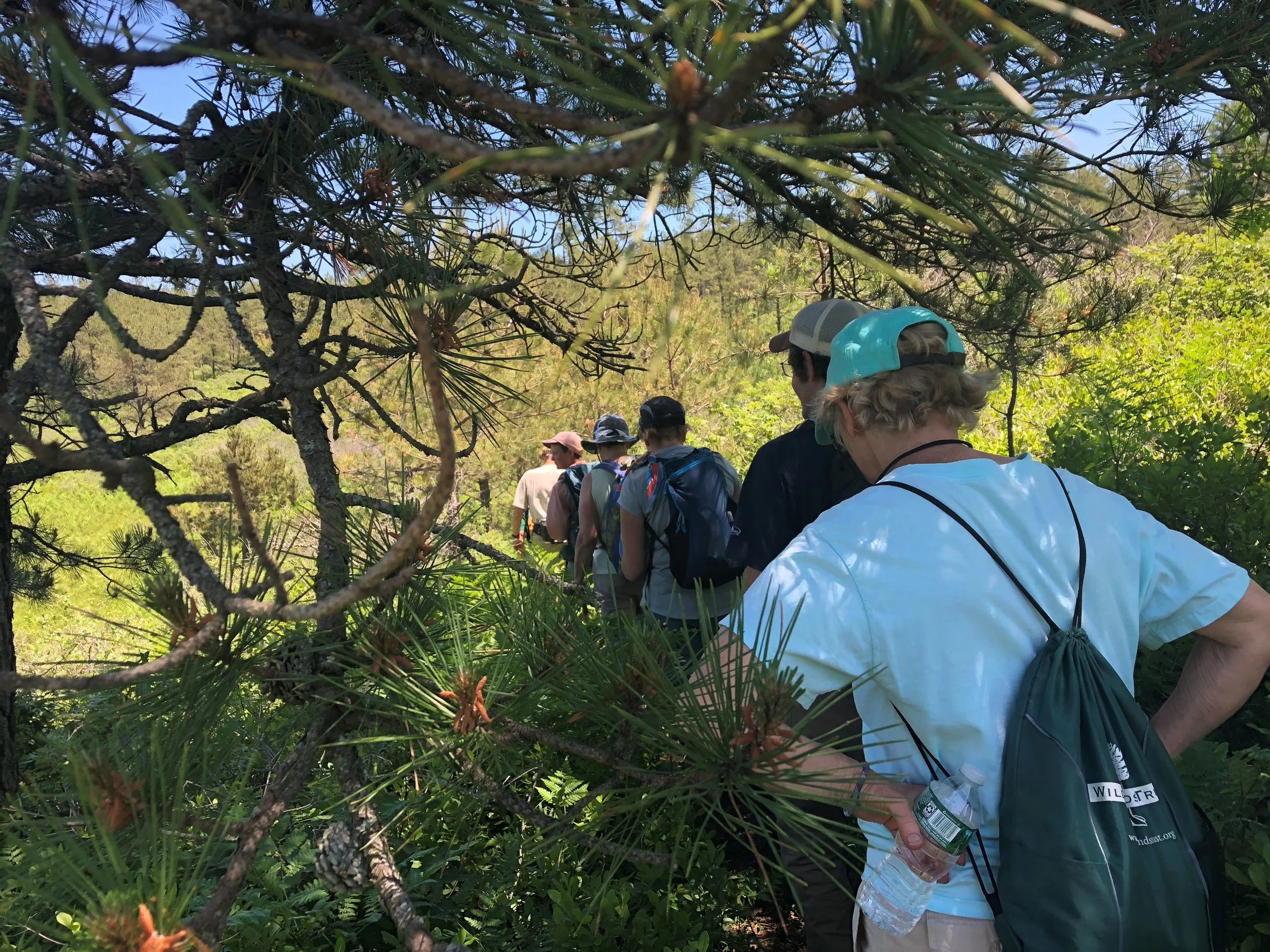 The Day Two Crew finds relief in the bits of shade that White Pines provide