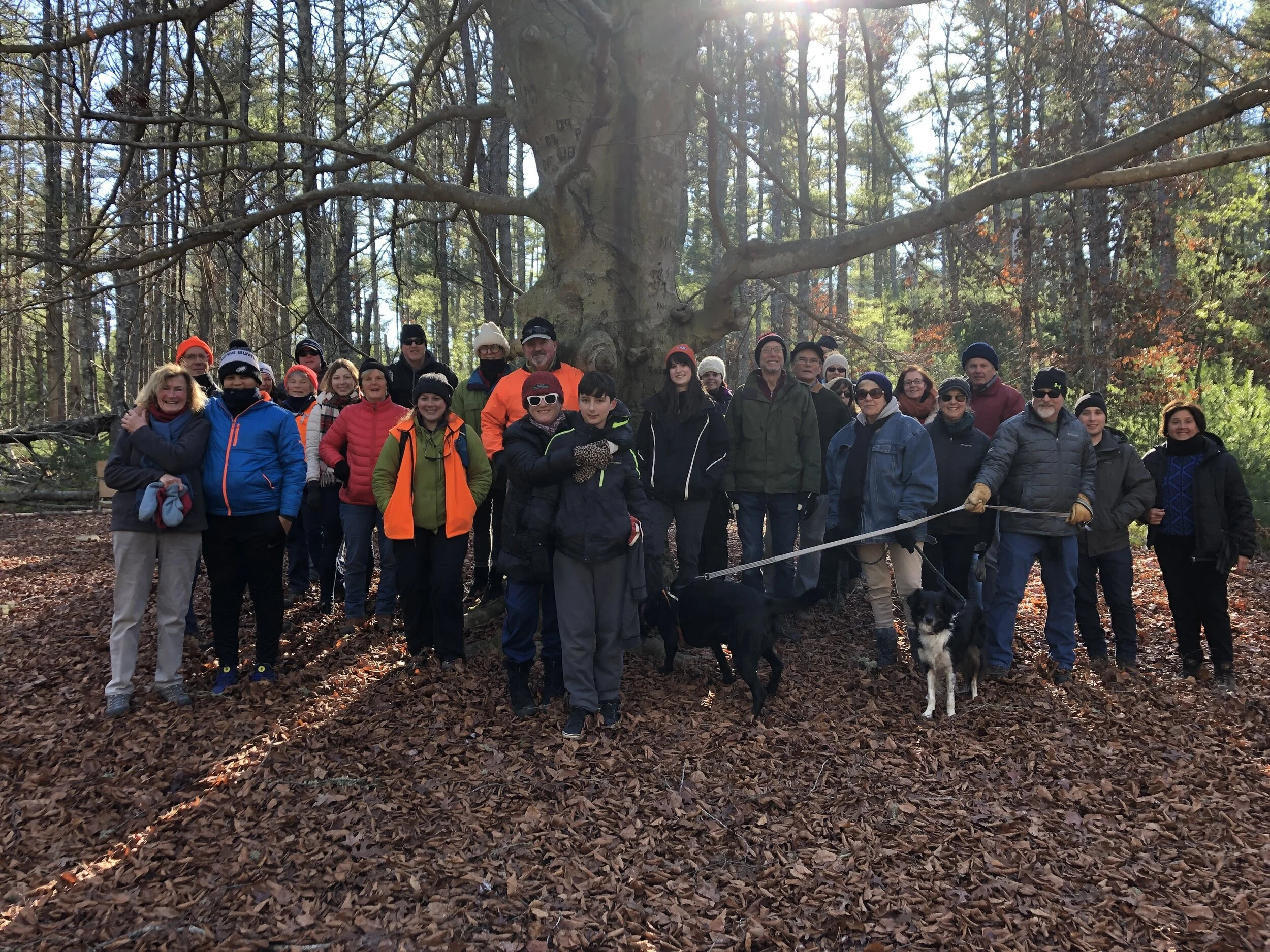 Hikers gather at the Beech Tree Clearing at the 2018 Post Feast Waddle.