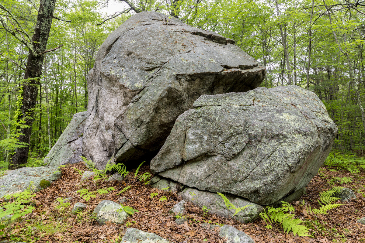 This 20-foot glacial boulder can be found in the middle of the Brockton Audubon Preserve. Learn more about the preserve…