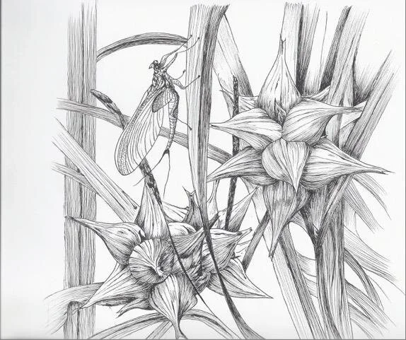 Sample 2.jpg