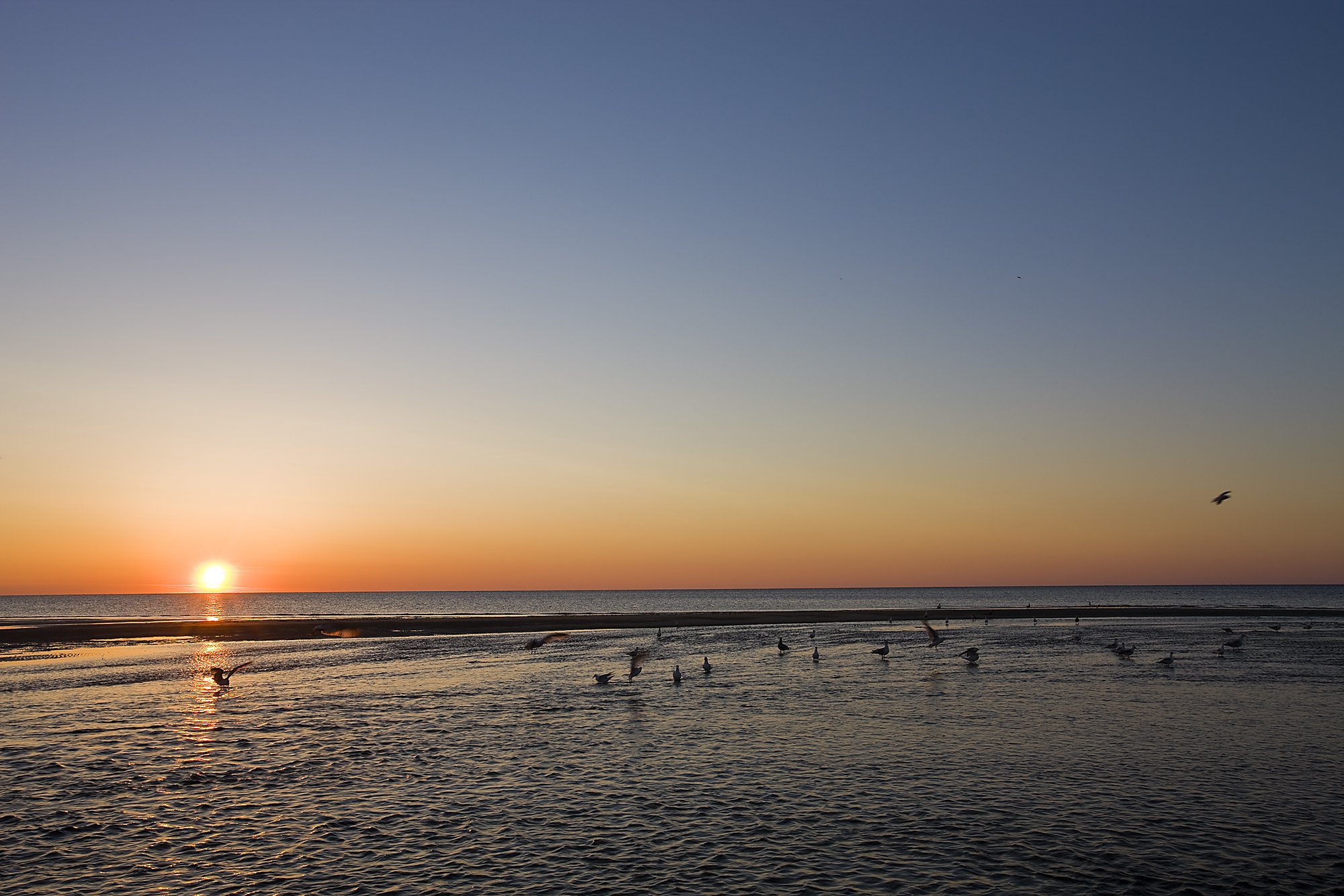  Dawn at the Shifting Lots Preserve in Plymouth, Massachusetts.  Owned by the Wildlands Trust.  Cape Cod Bay.  Near Ellisville Harbor State Park. 