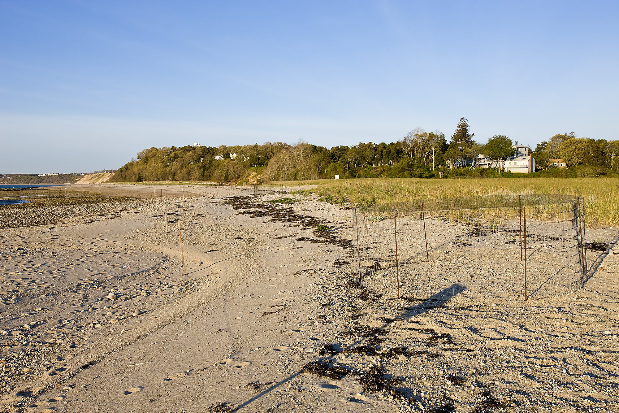  A piping plover nest exclosure at the Shifting Lots Preserve in Plymouth, Massachusetts.  Owned by the Wildlands Trust.  Cape Cod Bay.  Near Ellisville Harbor State Park. 