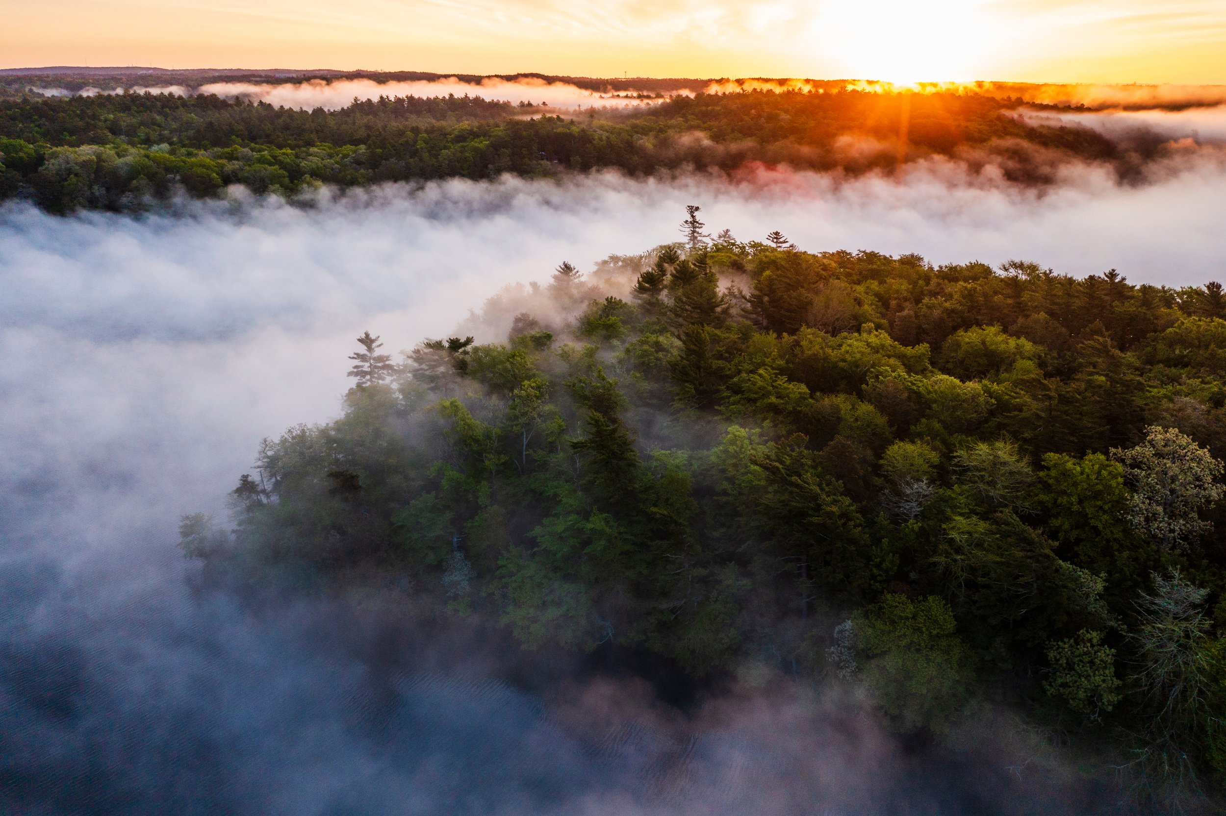  Morning fog over Halfway Pond and the Halfway Pond Conservation Area in Plymouth, Massachusetts. 