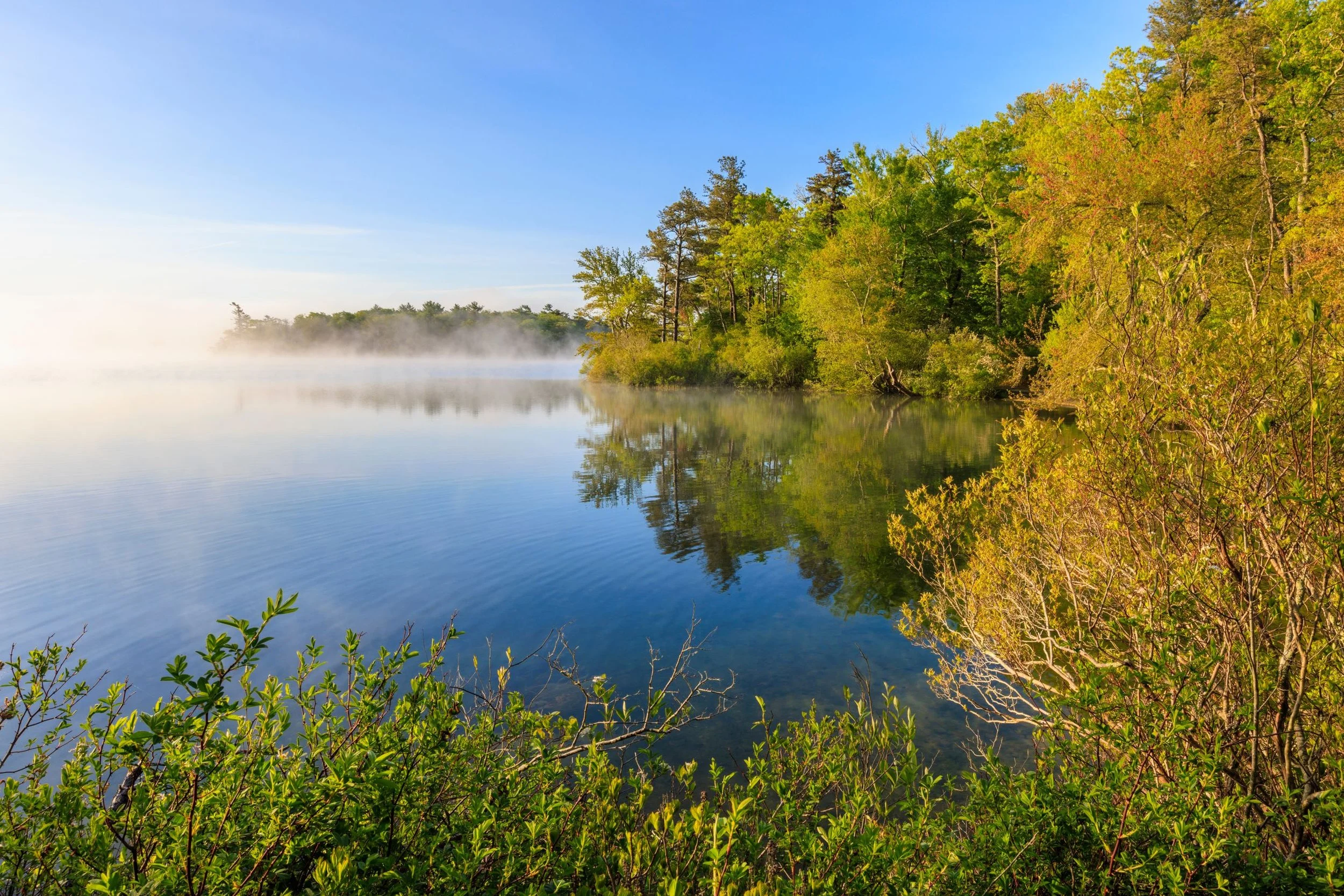 Wildlands Trust — Halfway Pond Conservation Area