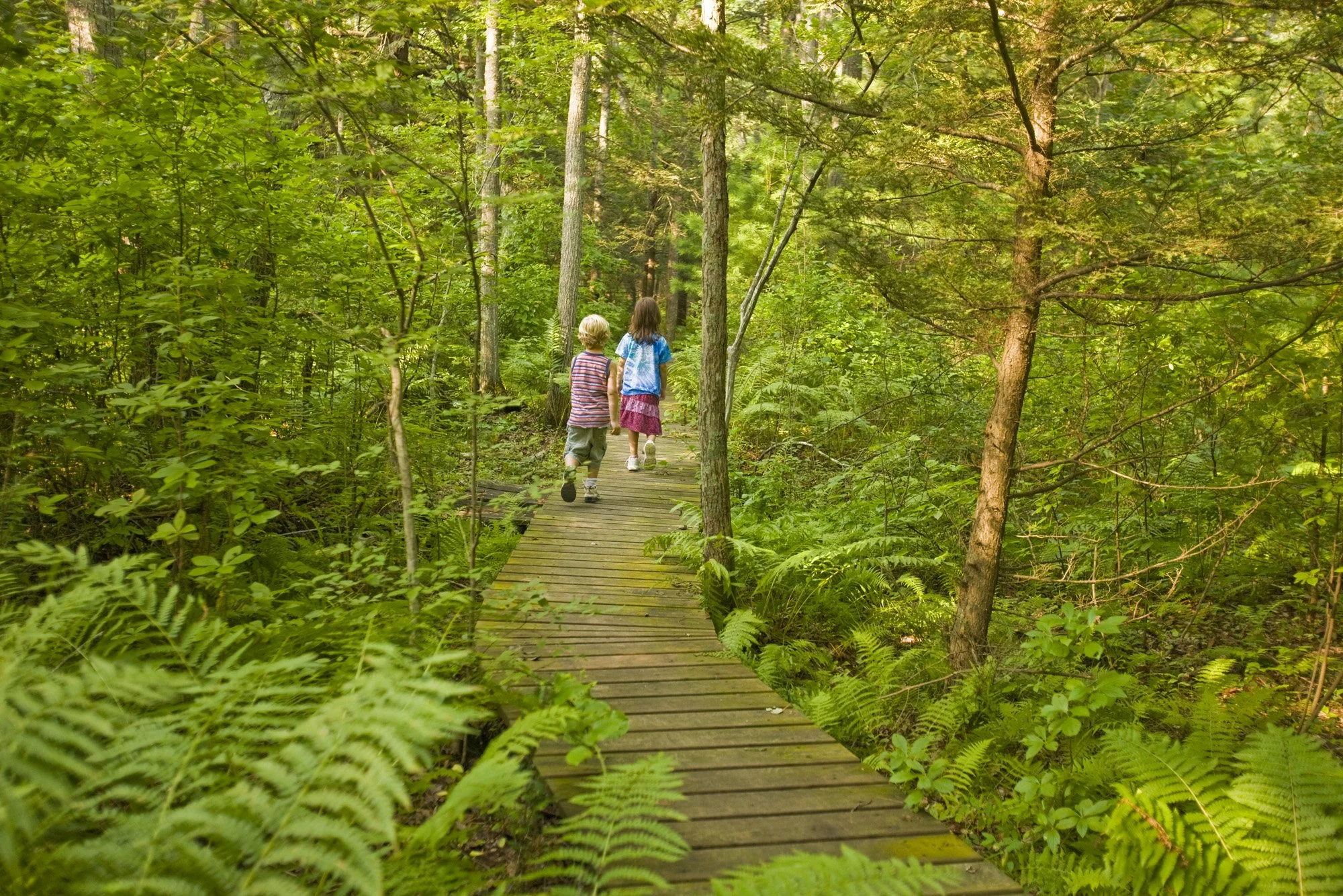 Wildlands Trust — Willow Brook Farm