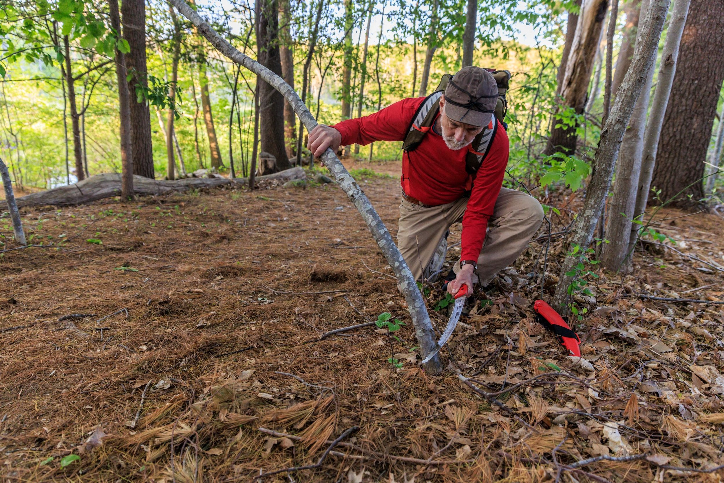 Resized Monkman_MASSR_D10271.jpg