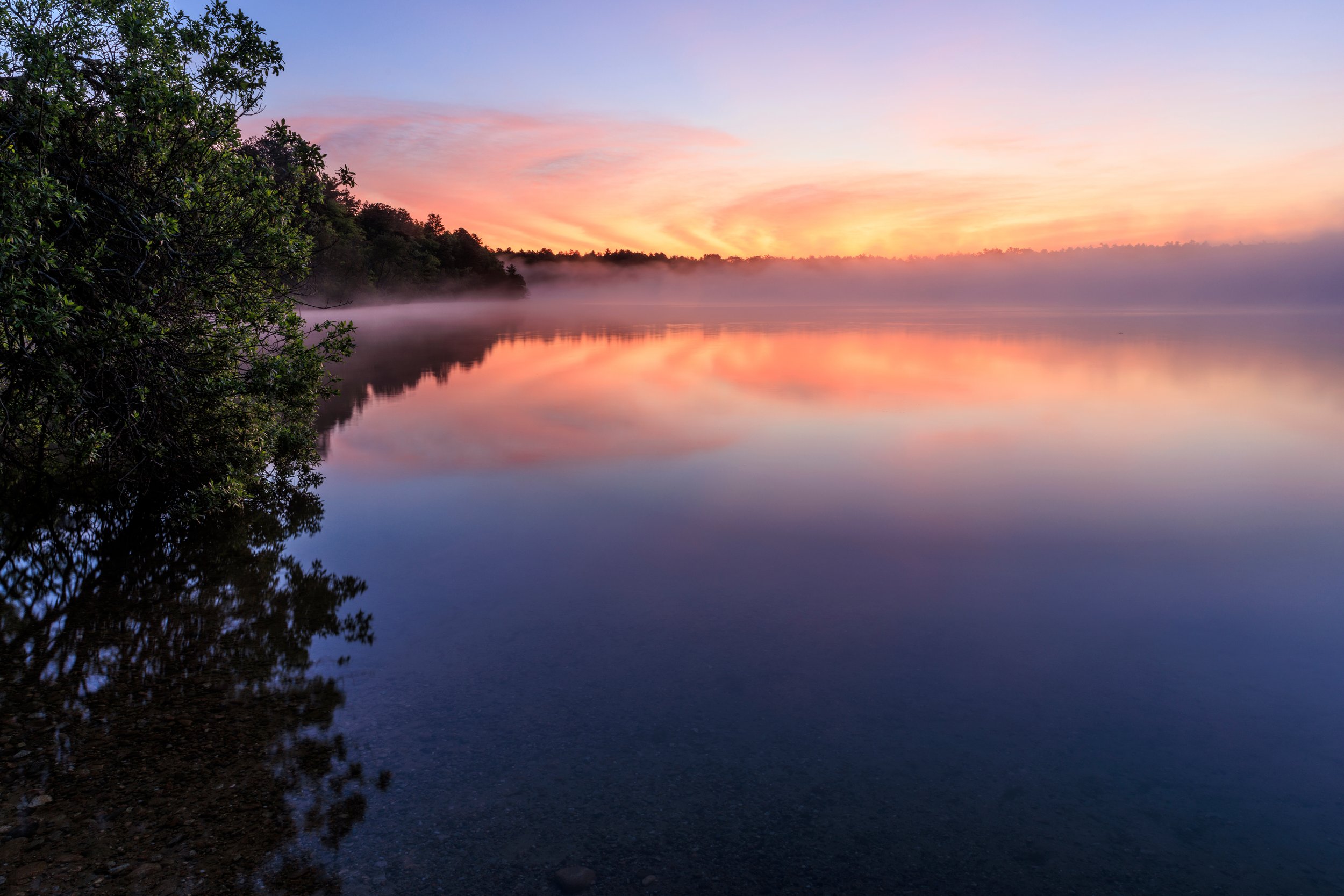  Morning fog on Halfway Pond in Plymouth, Massachusetts. 