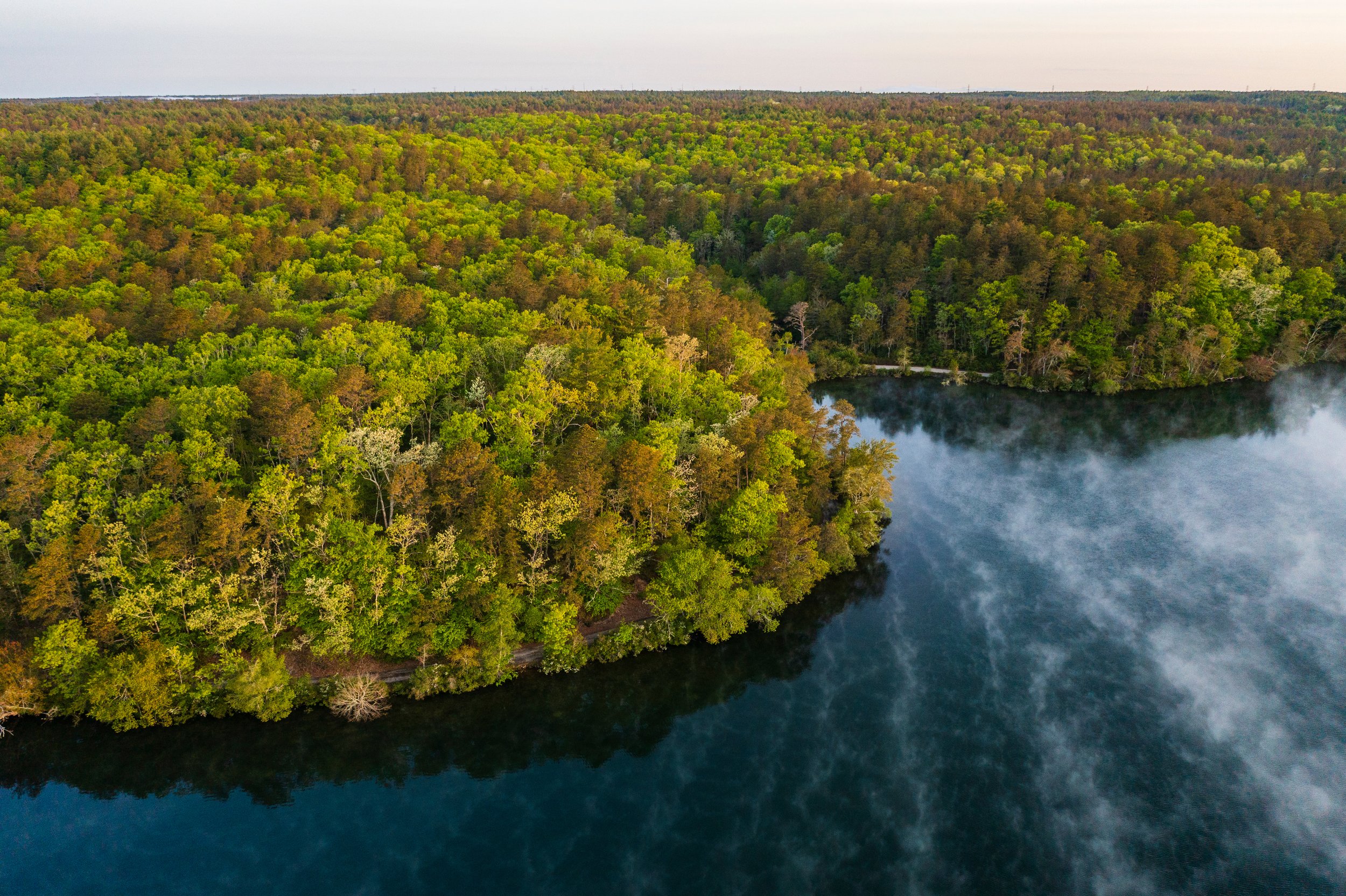  A drone's view of the forest at the Halfway Pond Conservation Area in Plymouth, Massachusetts. Spring. 