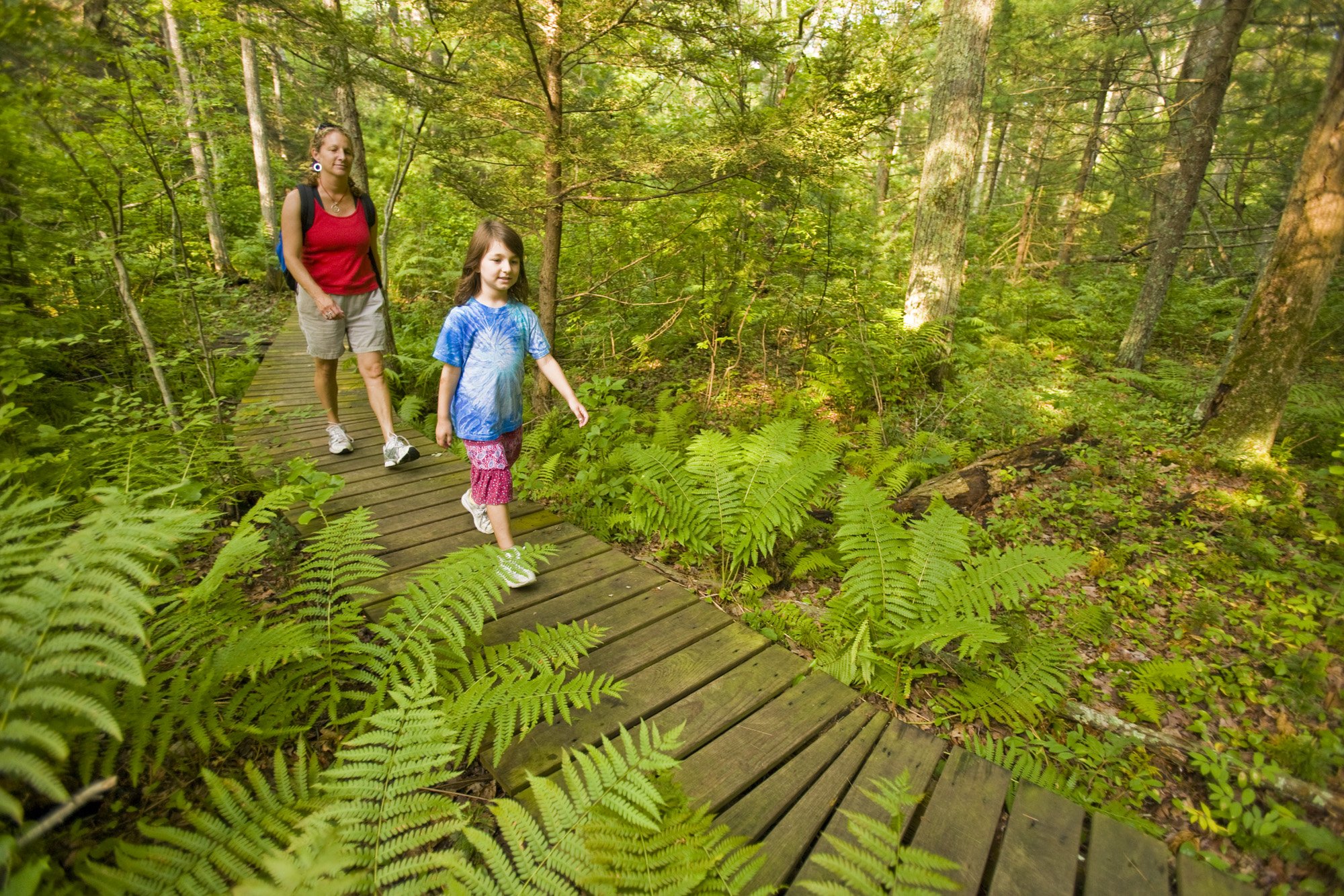  A woman and her young daughter hiking at the Willow Brook and Fleetwood Farms Preserve in Pembroke, Massachusetts. 