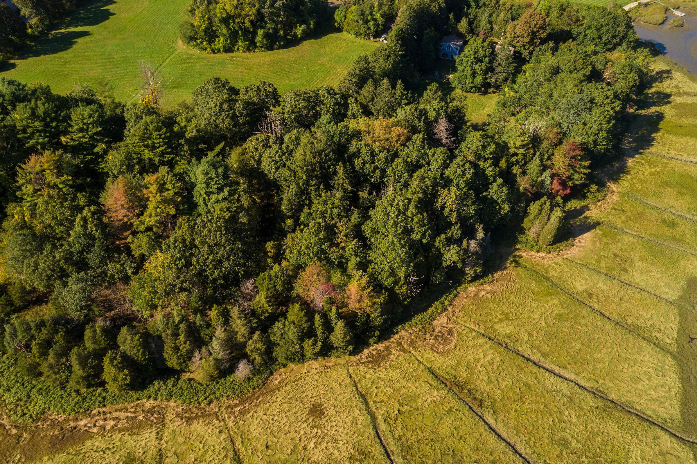  Drone view of the field, woods, and salt marsh at the Wildlands Trust's Cushman Preserve in Duxbury, Massachusetts. 