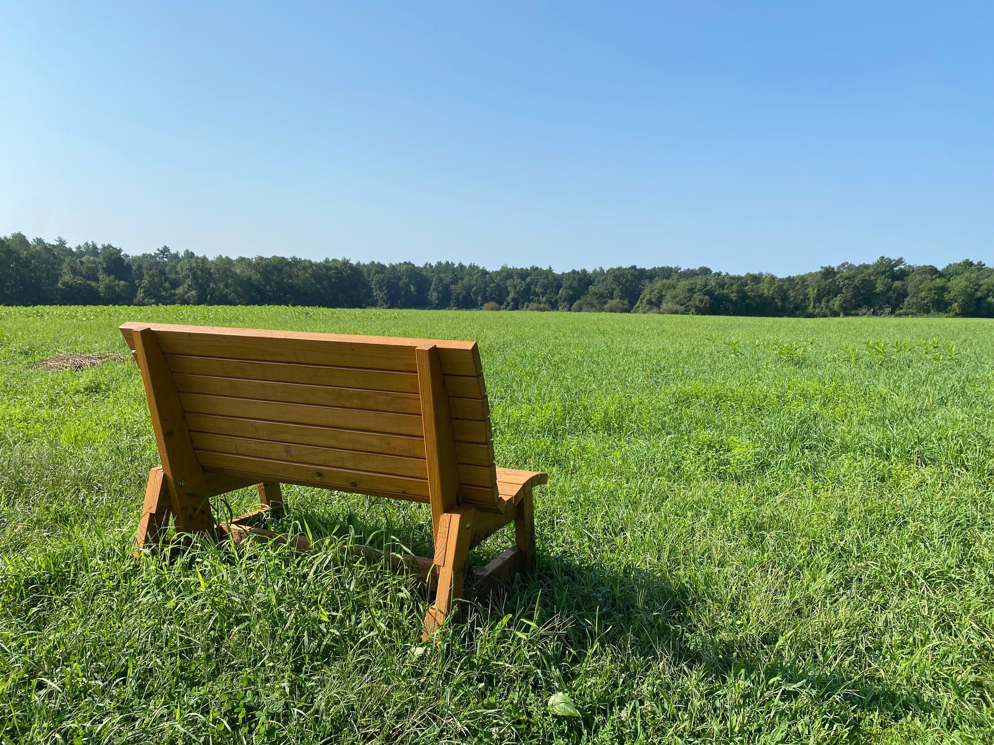  Wooden bench overlooking a green grassy field and clear blue skies 