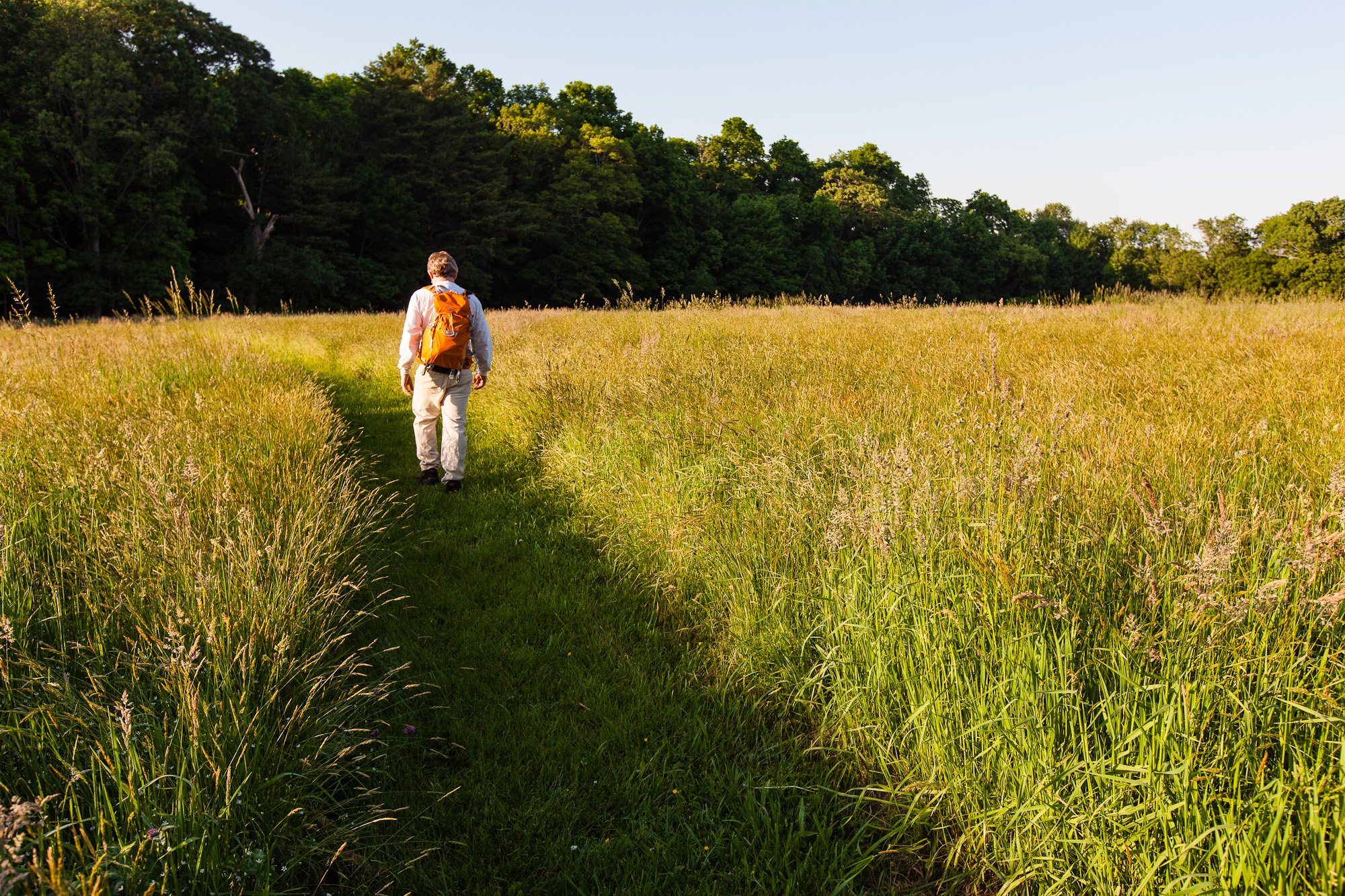  A man walks through the hay field at Phillips Farm in Marshfield, Massachusetts. 