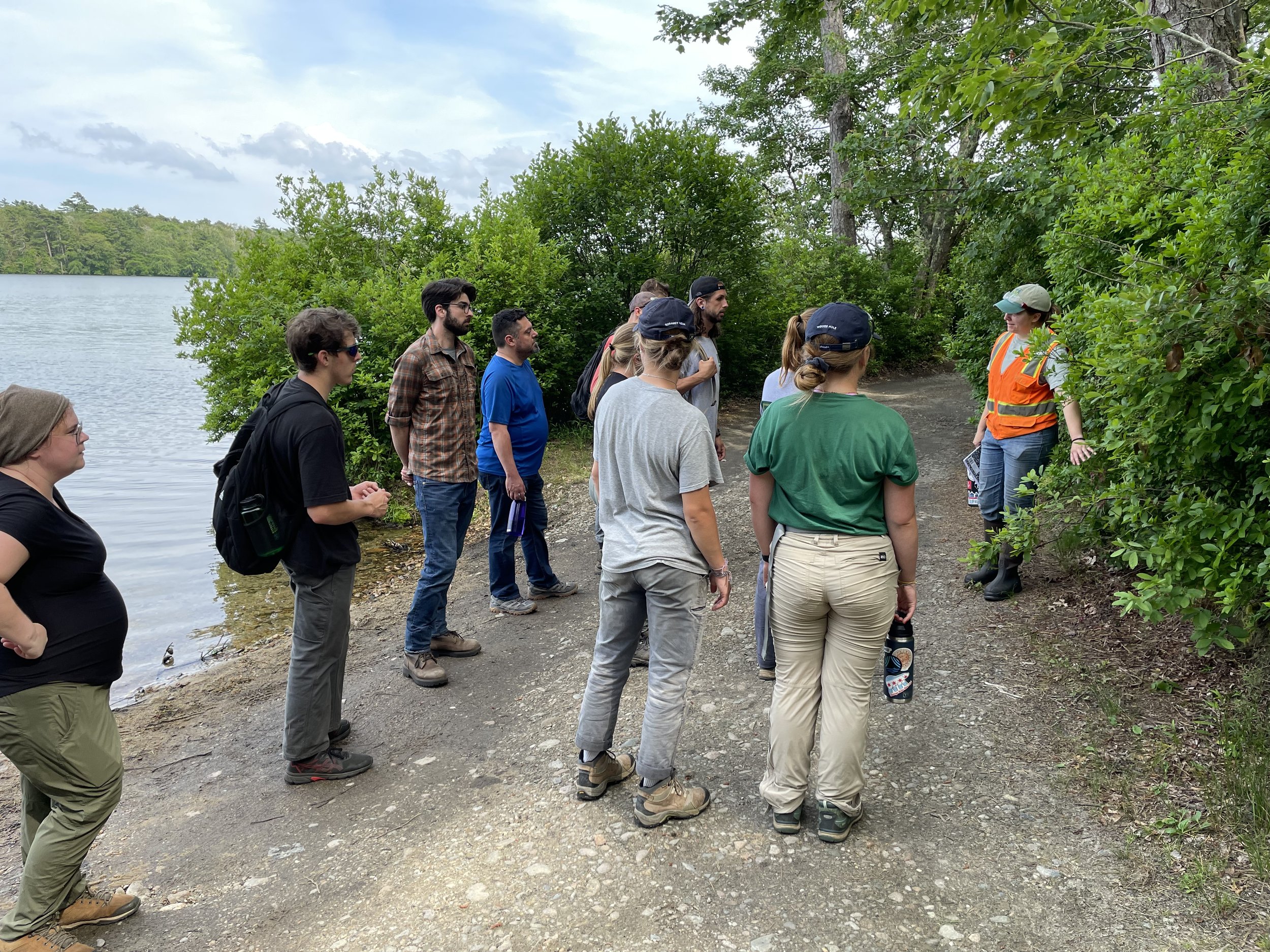  Kelly Barber of Barnstable Land Trust leads an invasive plant identification walk. 