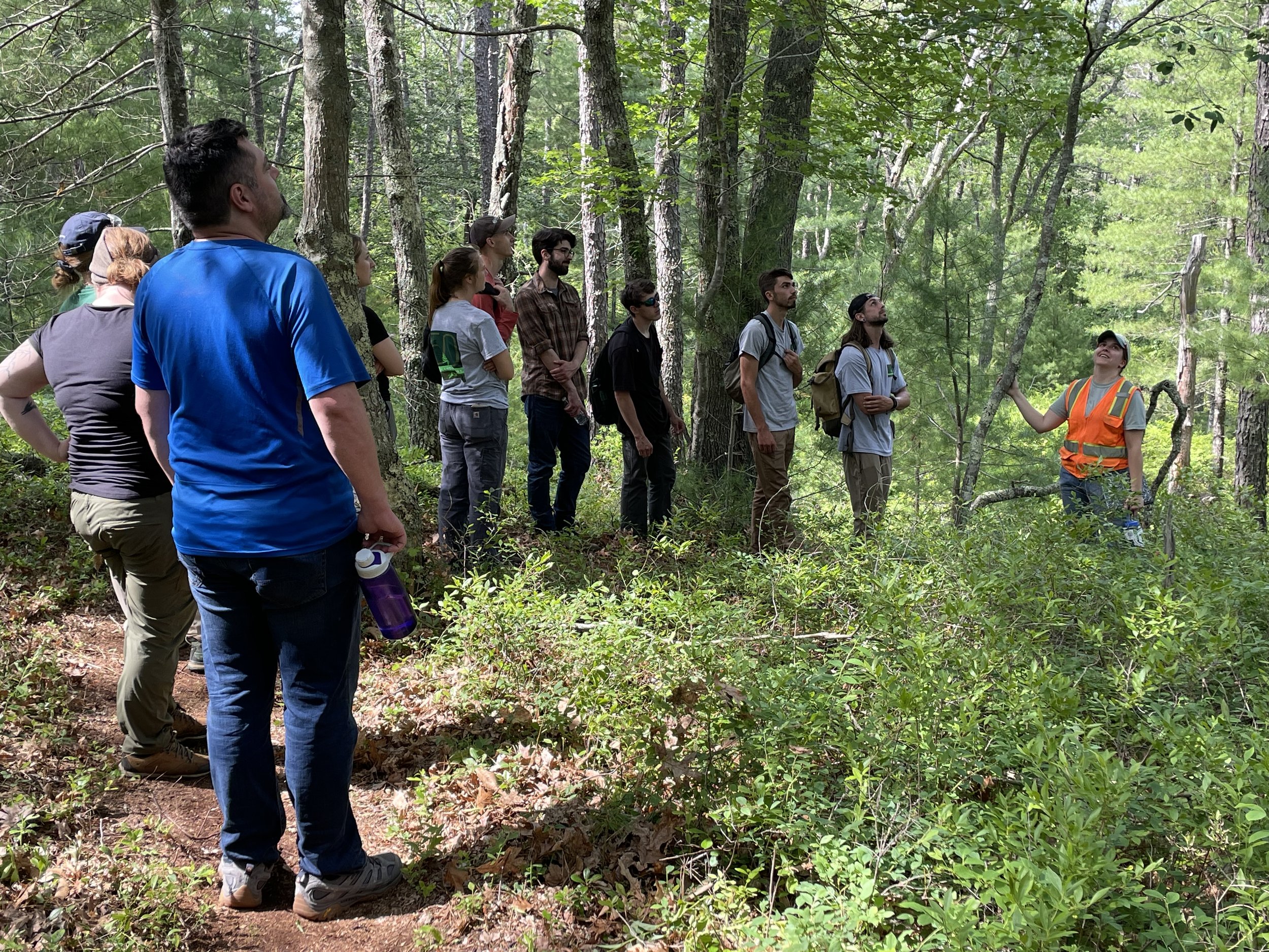  Kelly Barber of Barnstable Land Trust leads an invasive plant identification walk. 