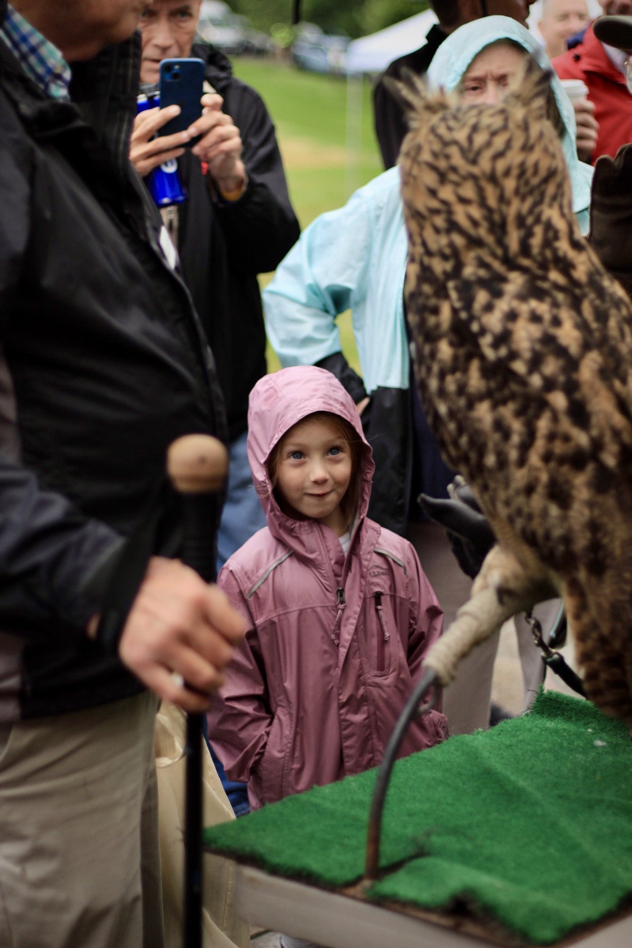 A young guest admires a Eurasian Eagle-Owl.