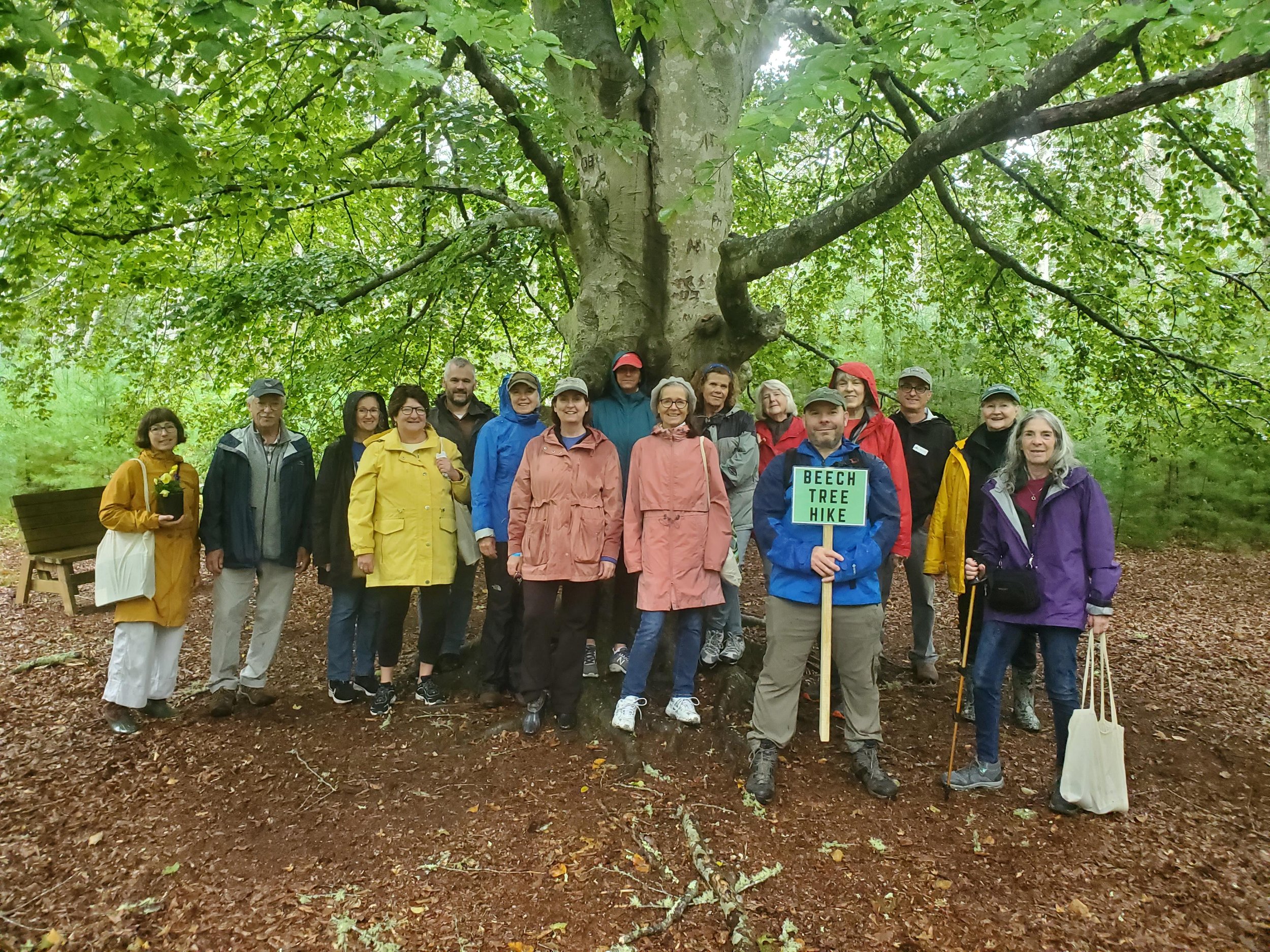 A rainy celebration-day hike to the Beech Tree Clearing at Emery Preserve.