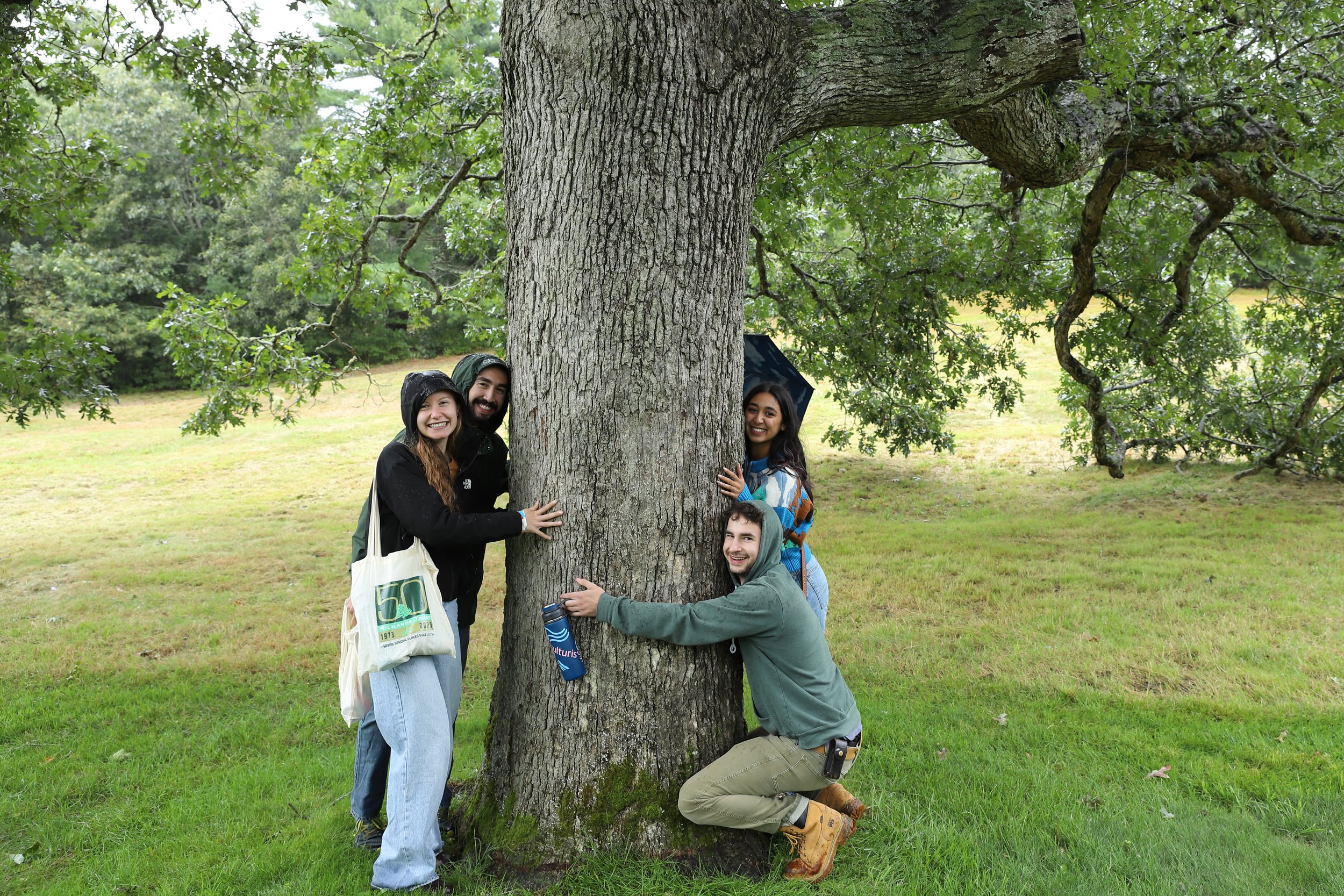 Celebration attendees hug an oak tree.