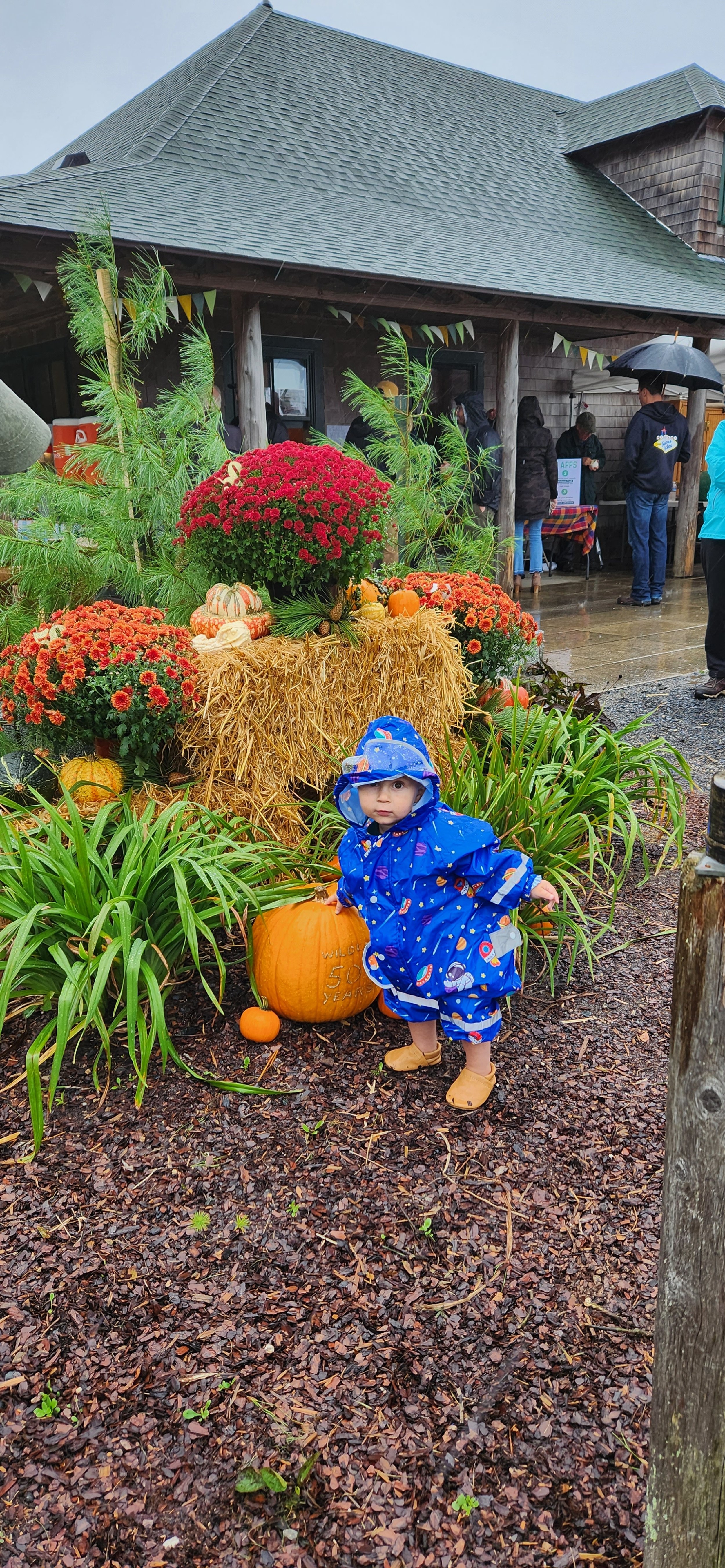 A young guest poses with autumnal decorations.