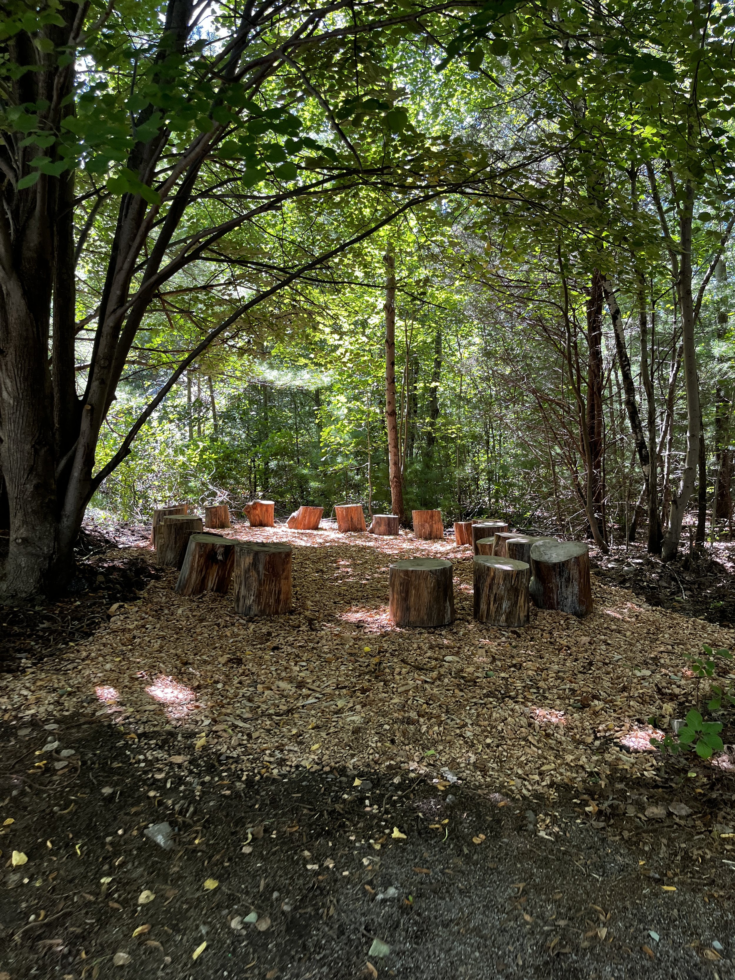 Woodland sitting circle at the George School outdoor classroom