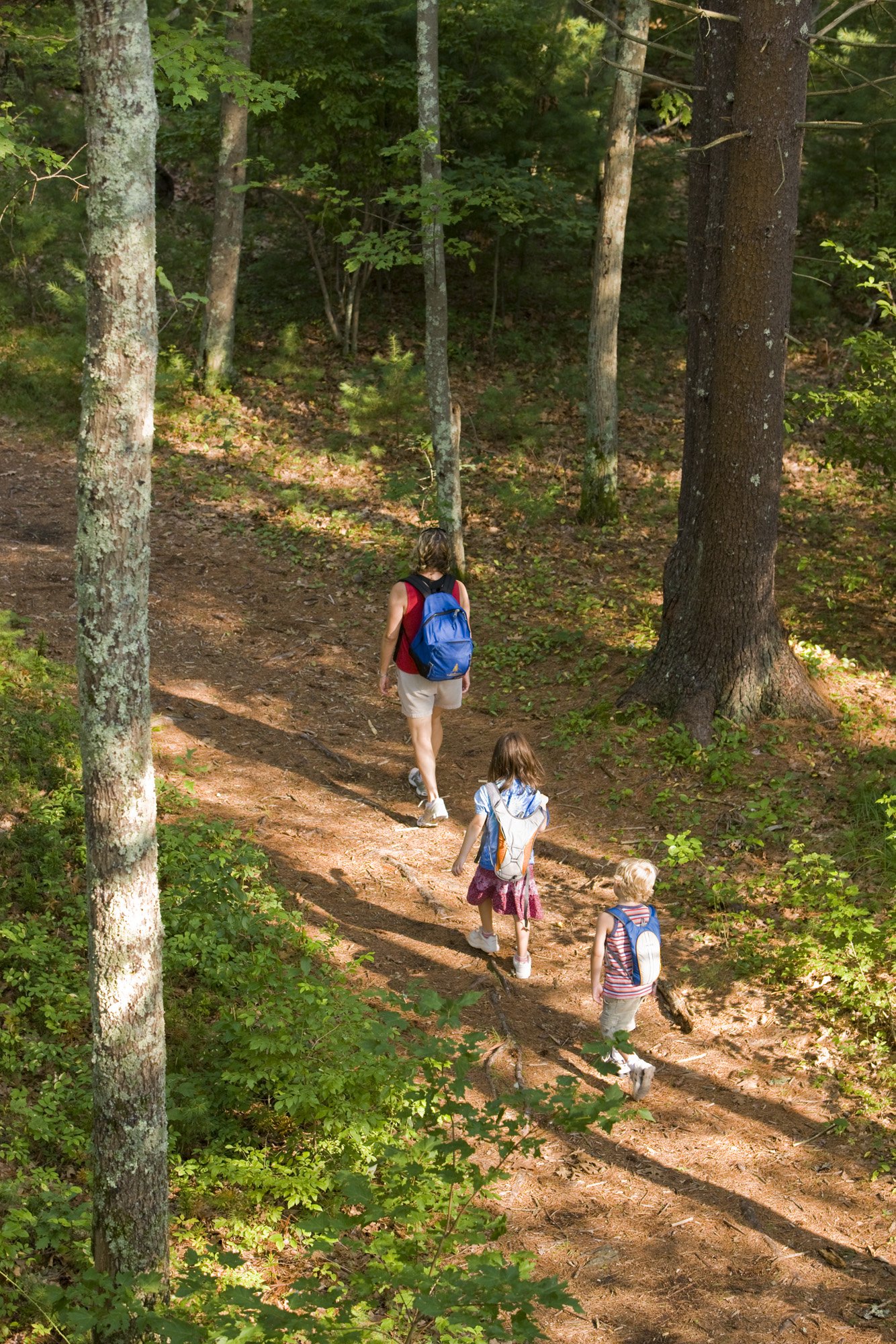  A mom and her two kids hiking. 