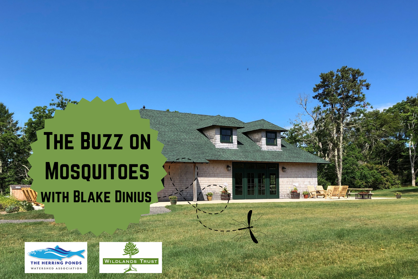 The Buzz on Mosquitoes