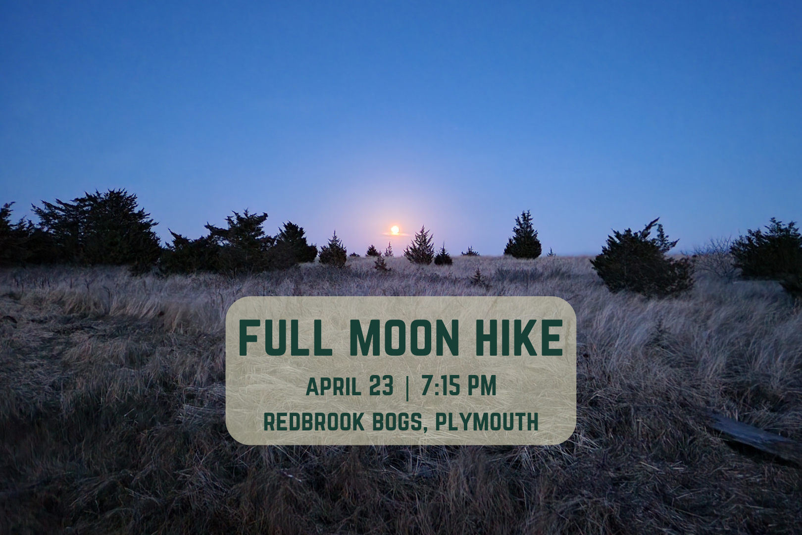 Full Moon Hike