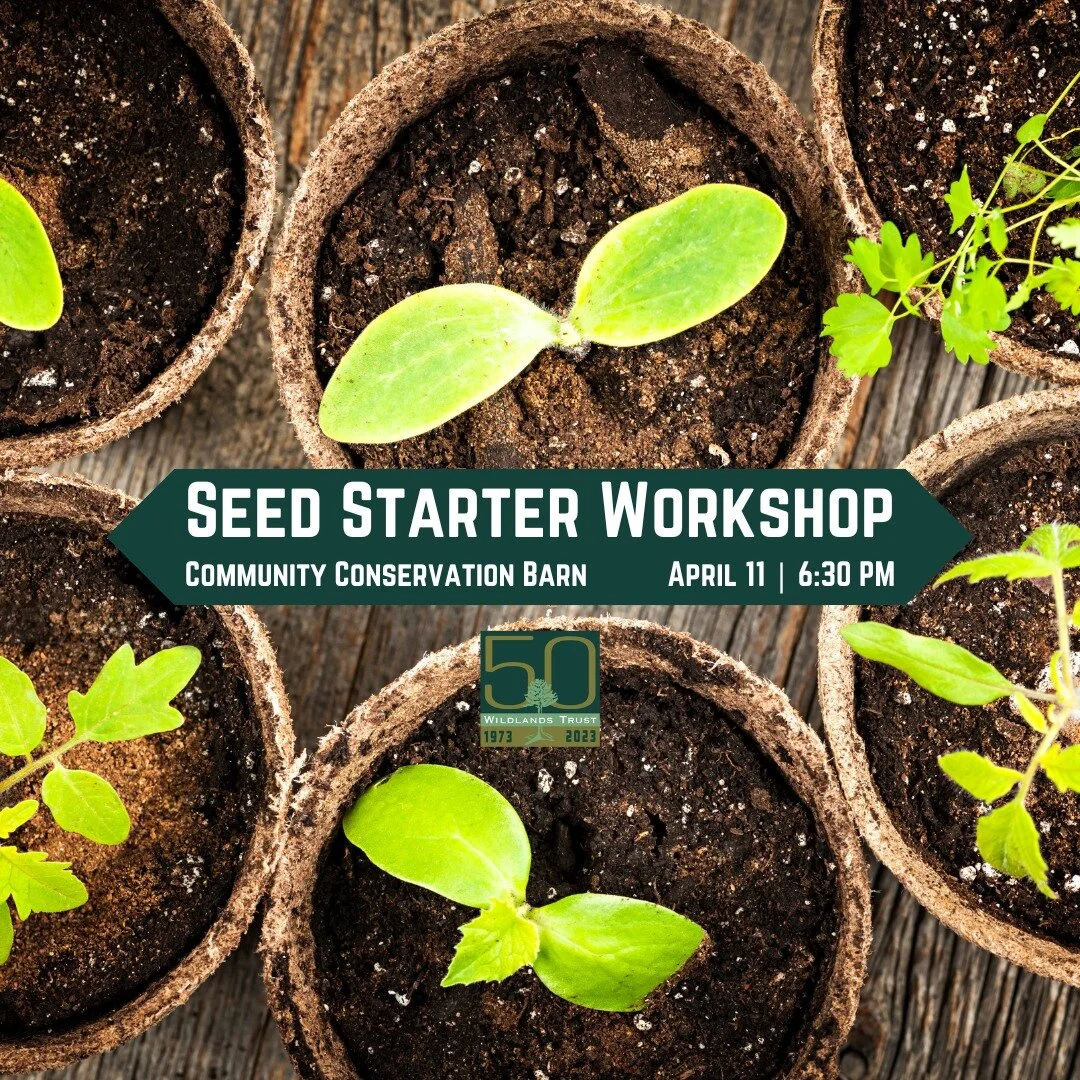 Spring has sprung! We promise! 😅

It may not look like spring, but it will&mdash;and fast! Make sure you're prepared with our Seed Starter Workshop, next Thursday evening at Davis-Douglas Farm in Plymouth. Take home gardening knowledge from Master G