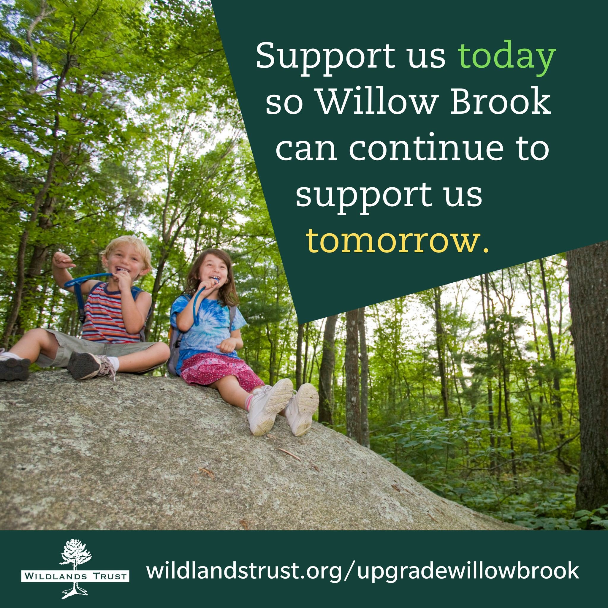 Support us today so Willow Brook can continue to support us tomorrow.

It's that simple.

Your donation will go directly toward repairing, replacing, and restoring built and natural infrastructure at this beloved Pembroke preserve. But first, it will