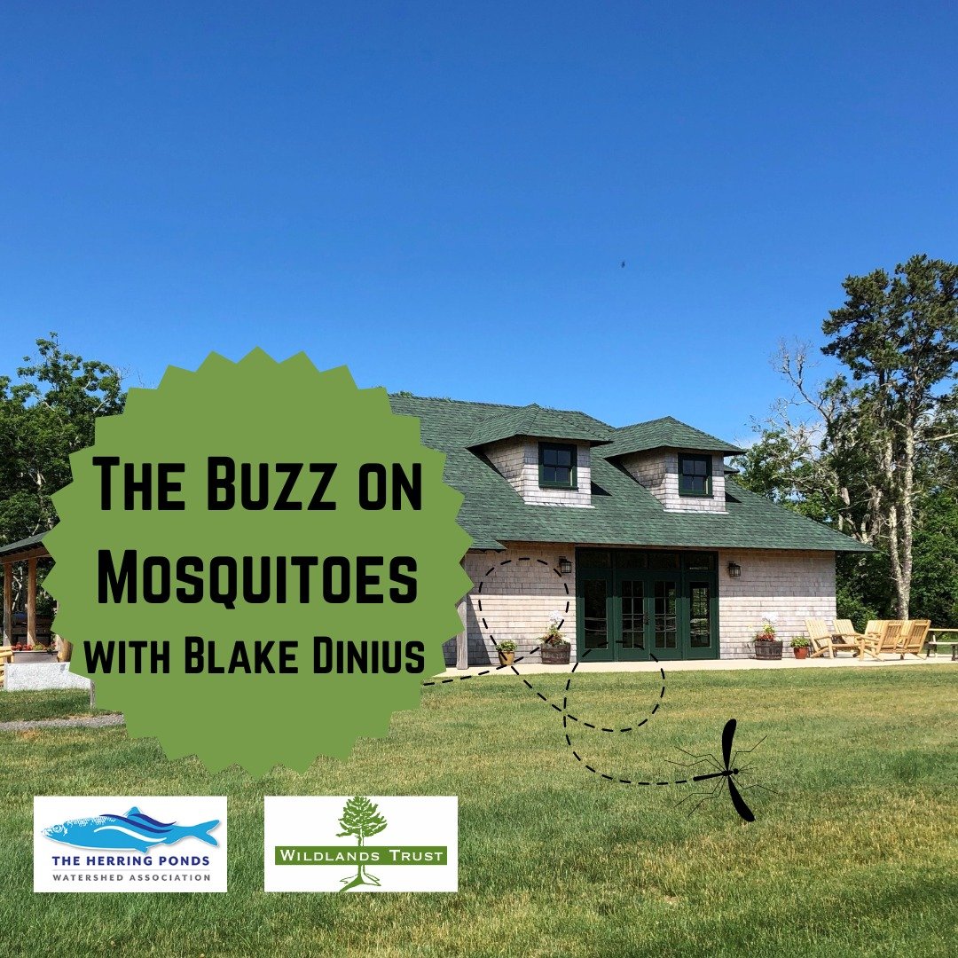 Itching to learn more about mosquitoes? 🦟

On Thursday night, hear from @plymouthcountyextension entomologist Blake Dinius about the complex and misunderstood world of mosquitoes. Learn how mosquitoes contribute to healthy ecosystems and how science